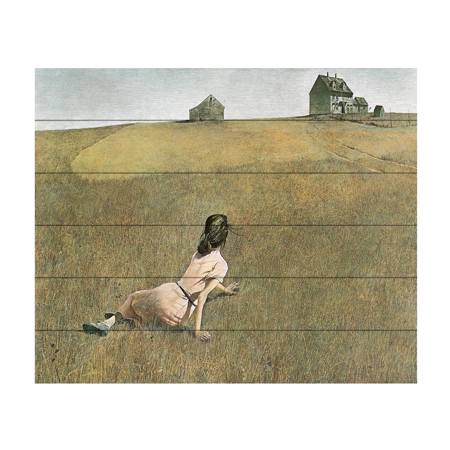 Trademark Fine Art 18"x22" Andrew Wyeth Christina's World Wood Slat Art: UV Ink, Ready to Hang