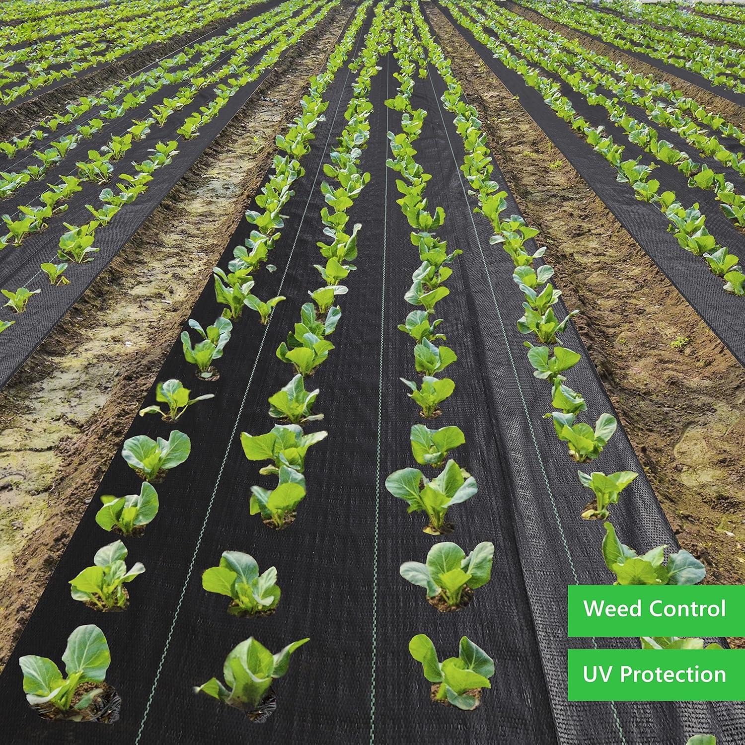 3FT x 50FT Weed Barrier Landscape Fabric Premium Heavy Duty with High Water Permeability and Breathability Woven Geotextile Fabric for Underlayment