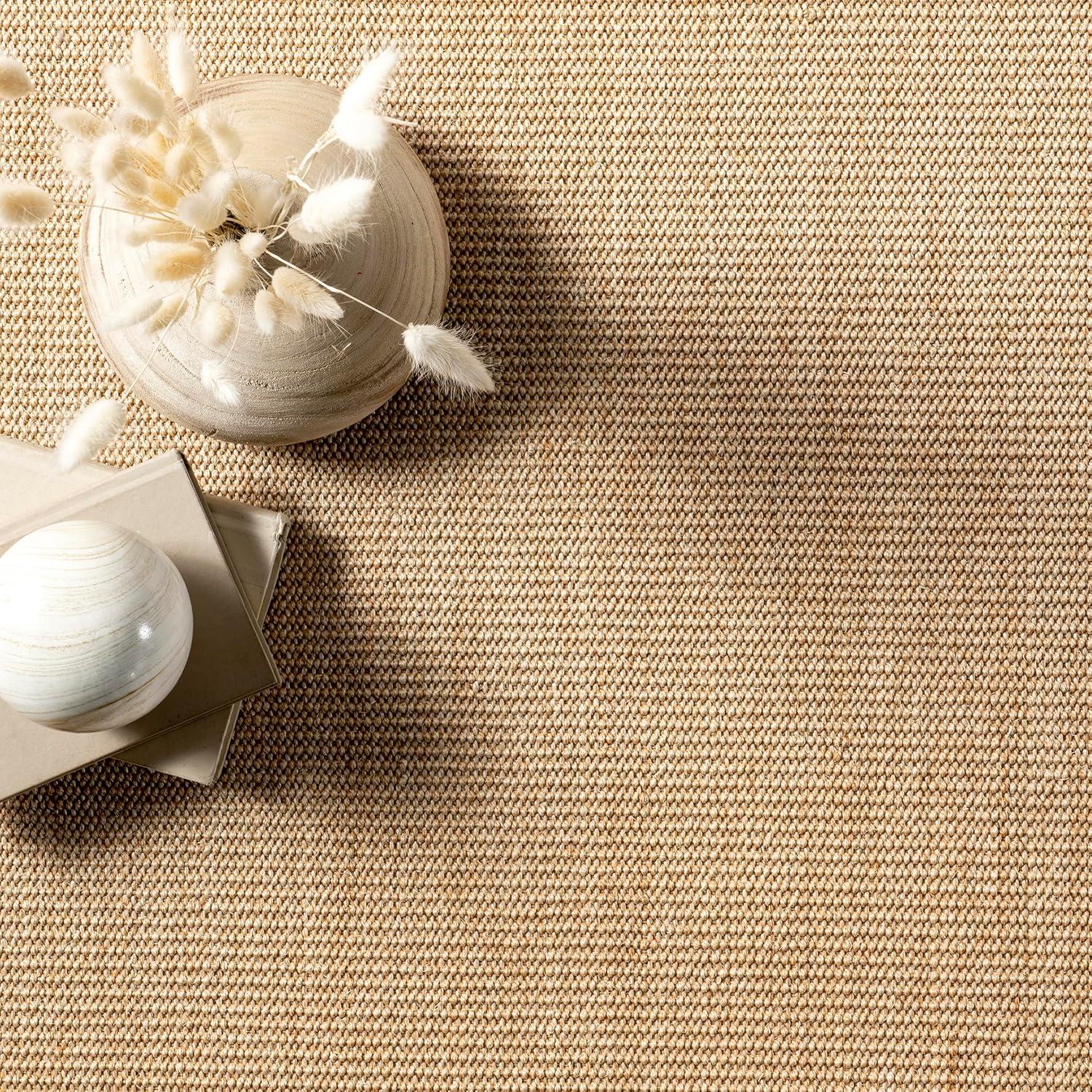 3'x5' Machine Woven orsay sisal Accent Rug Beige - nuLOOM: Modern Indoor Low Pile Skid-Resistant Area Rug