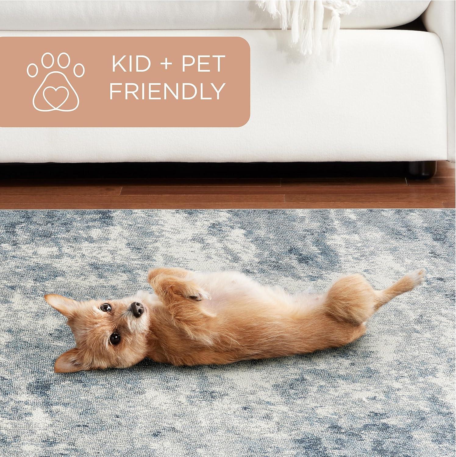 Town & Country Everyday Rein Everwash Washable Area Rug Brown/Beige