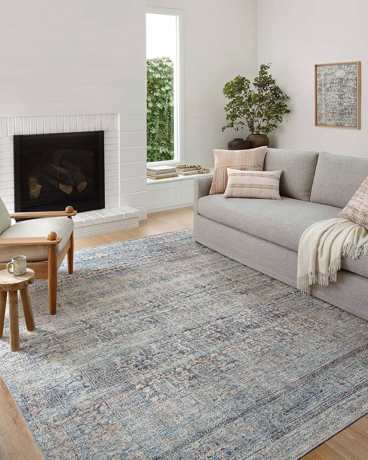 Amber Lewis x Loloi Billie Denim / Blush Area Rug