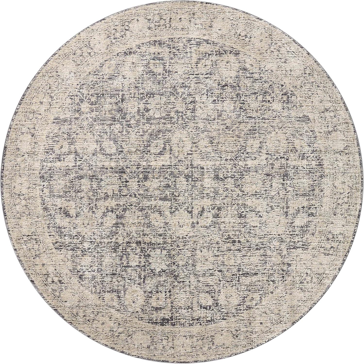 Amber Lewis x Loloi Alie Charcoal / Beige Area Rug