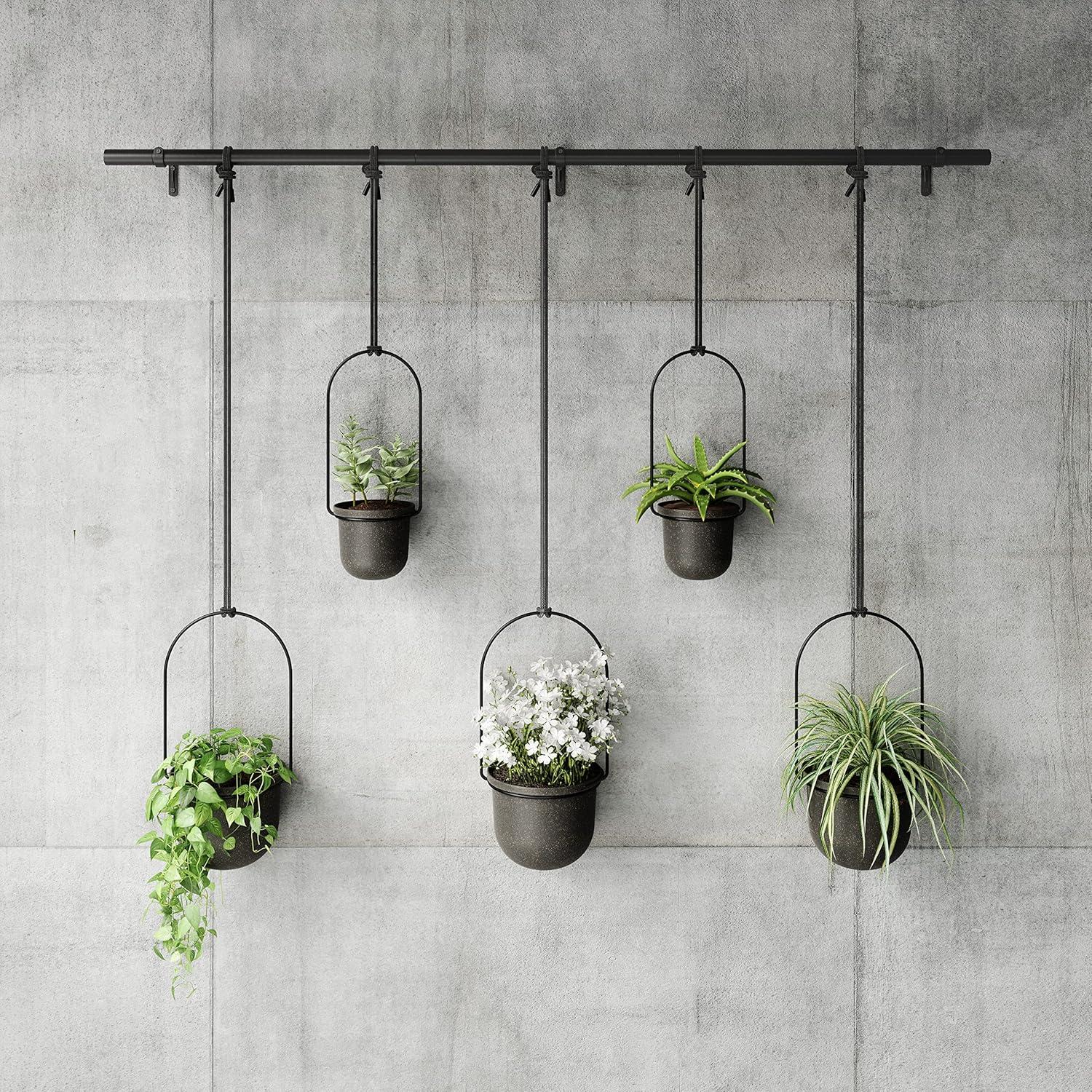 Triflora Large Hanging Planter