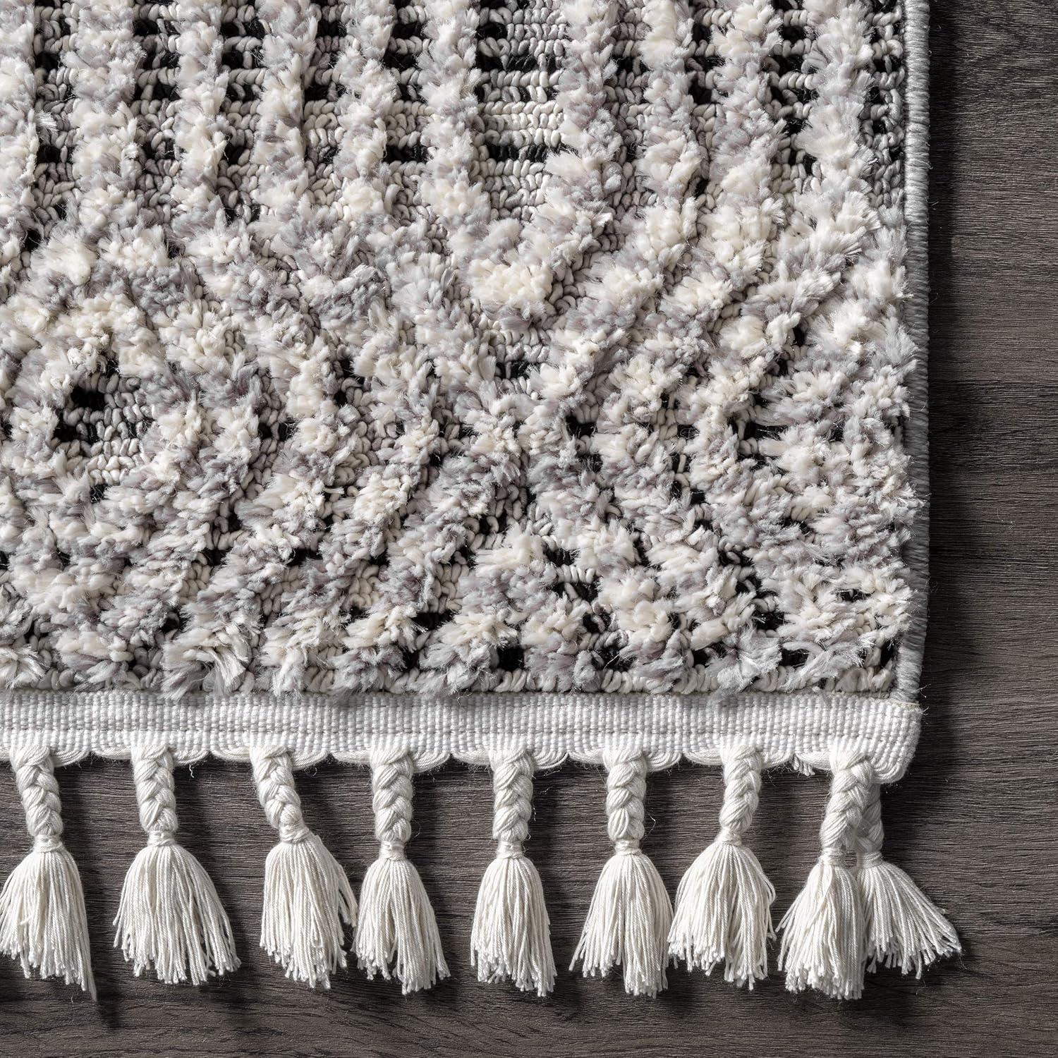 Nuloom Arielle Soft Trellis Textured Tassel Indoor Area Rug, 4' x 6'