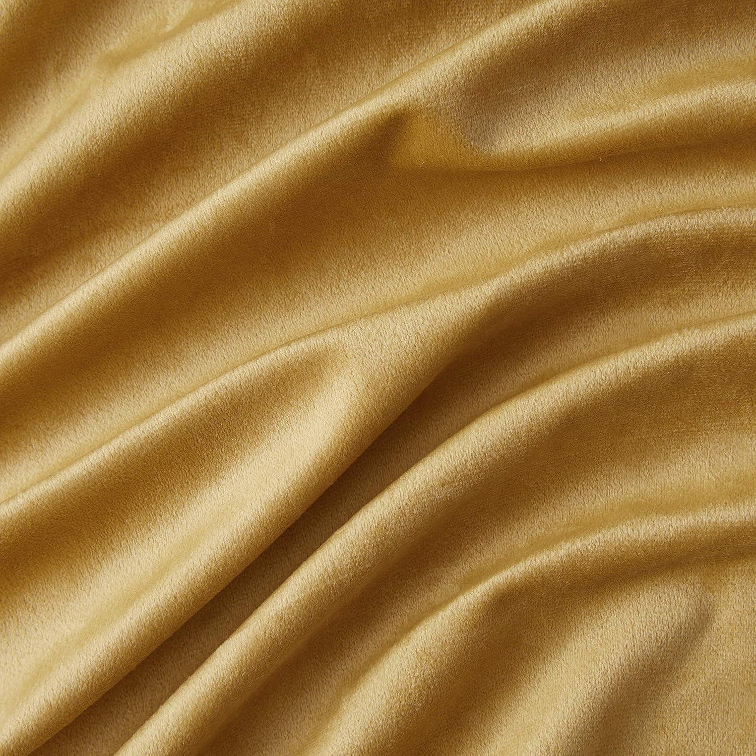 Eider & Ivory™ Monroy Velvet Solid Color Curtain Panels Set (Set of 2)