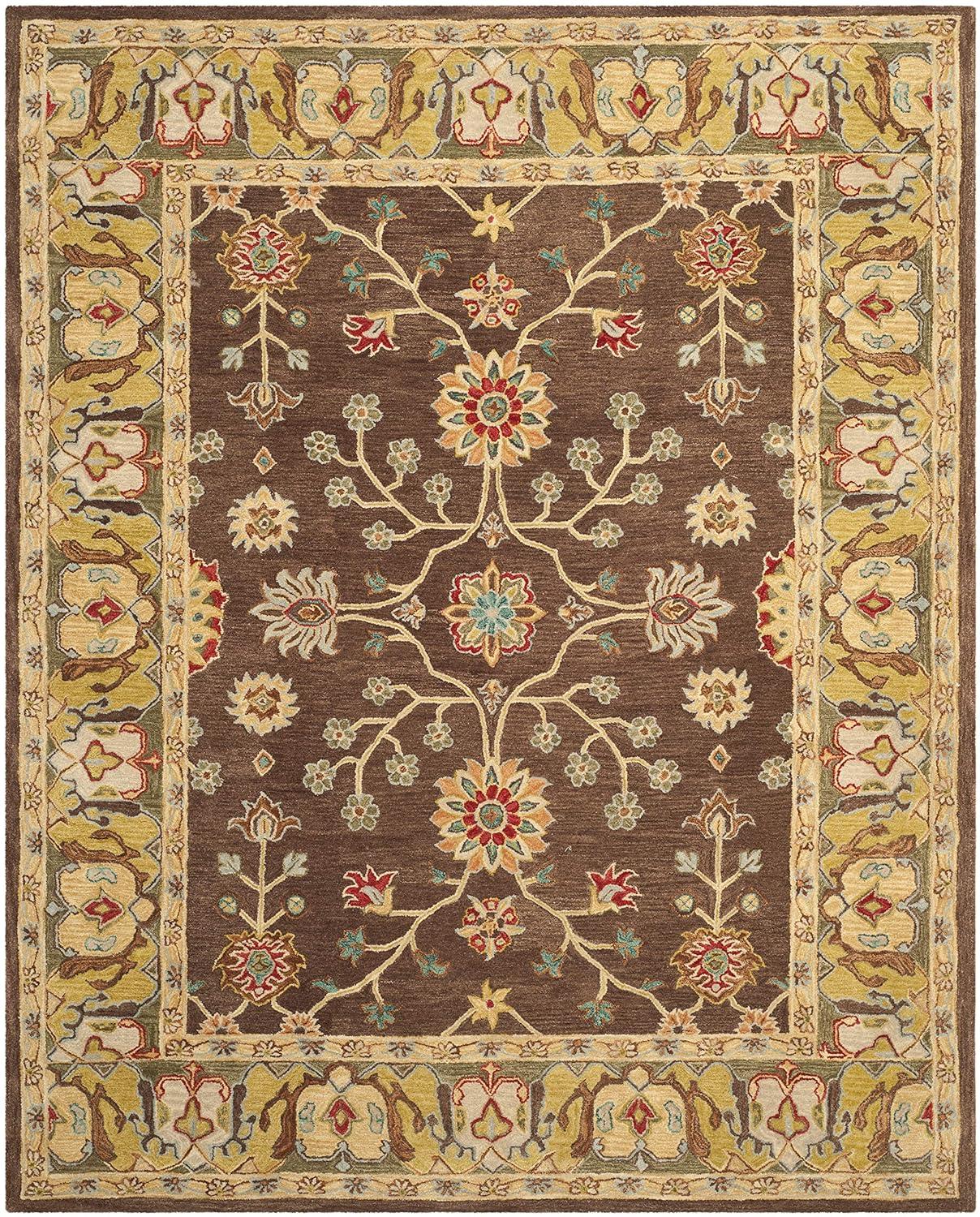 Anatolia AN562 Hand Tufted Indoor Area Rug - Brown/Gold - 9'x12' - Safavieh