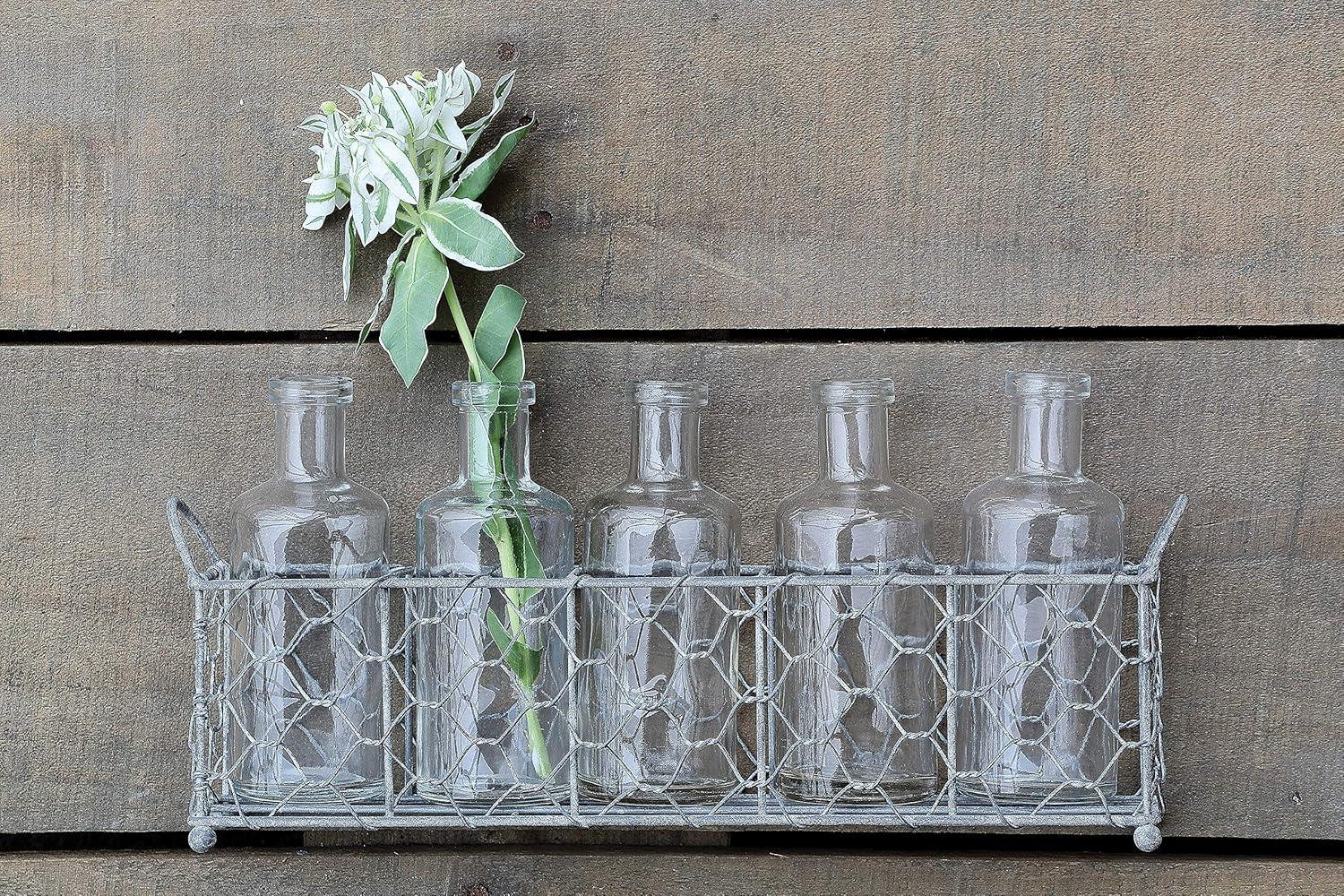 Creative Co-Op 5 Glass Vase Bottles on a Rectangle Metal Holder with Handles, Clear and Black, Set of 6