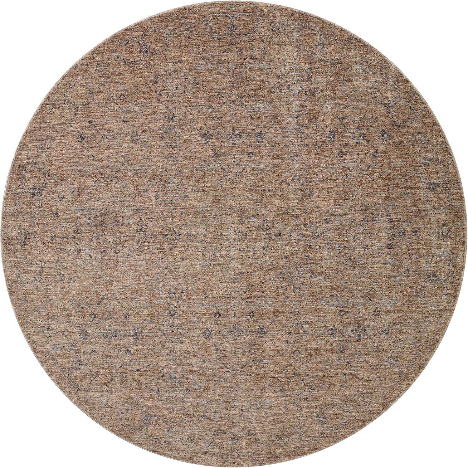 Angela Rose x Loloi Blake Taupe / Blue Area Rug