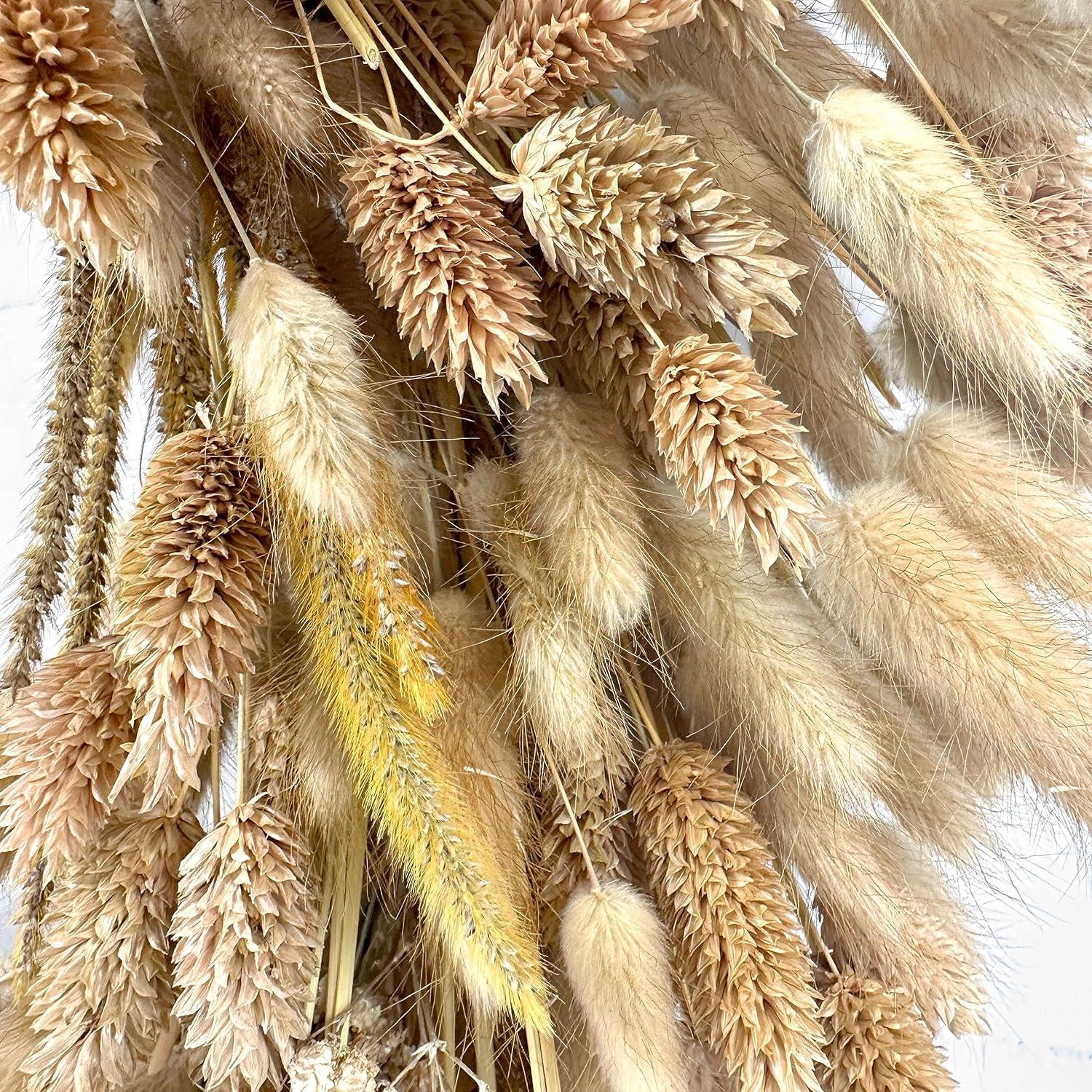 Galt International 21" Preserved Golden Natural Dried Wheat Wreath Straw Grain Wreath for Front Door Farmhouse Decorations Home Decor Pampas