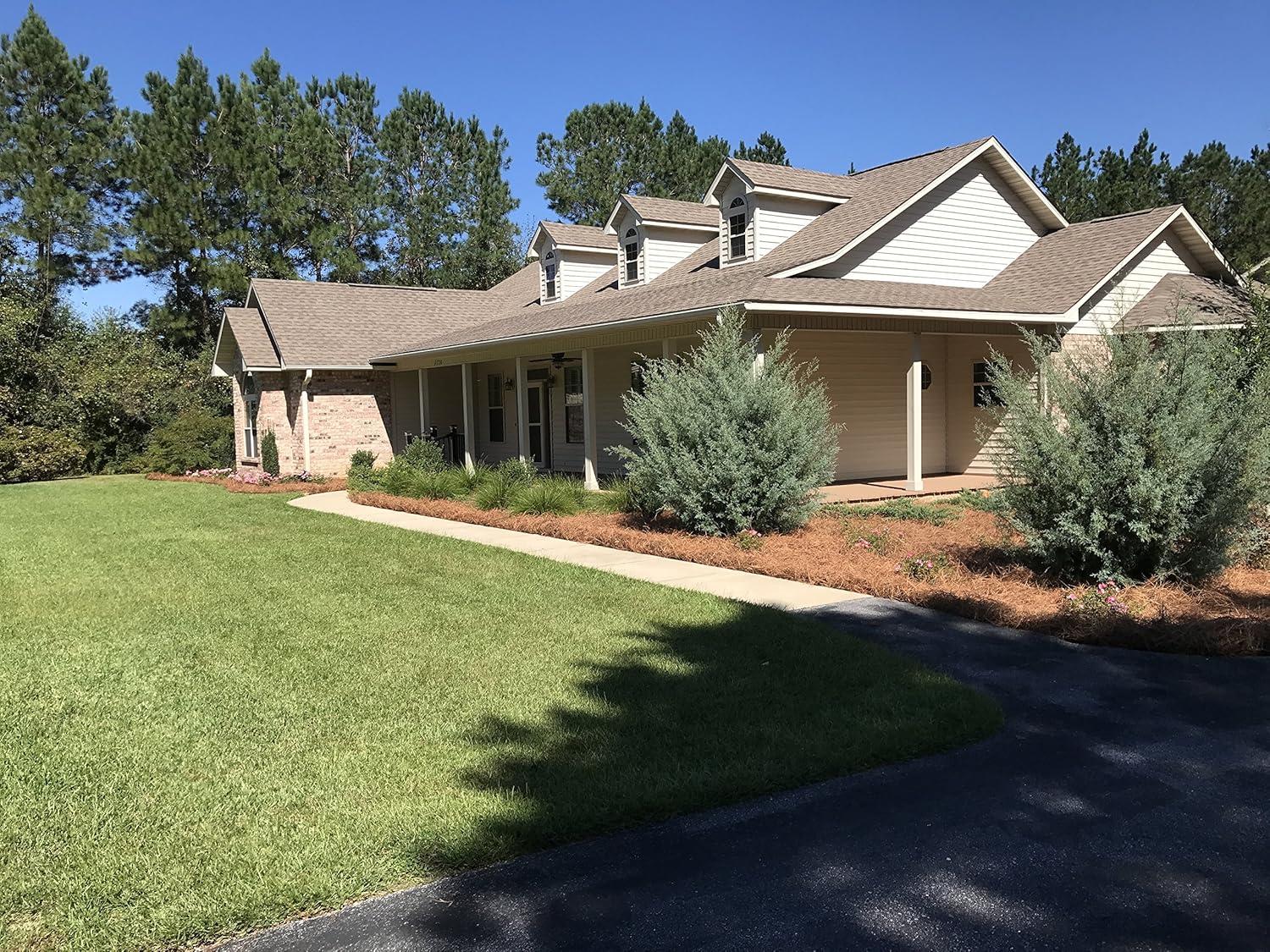 USA Pine Straw - Pine Needle Mulch - Covers 240 Sqft