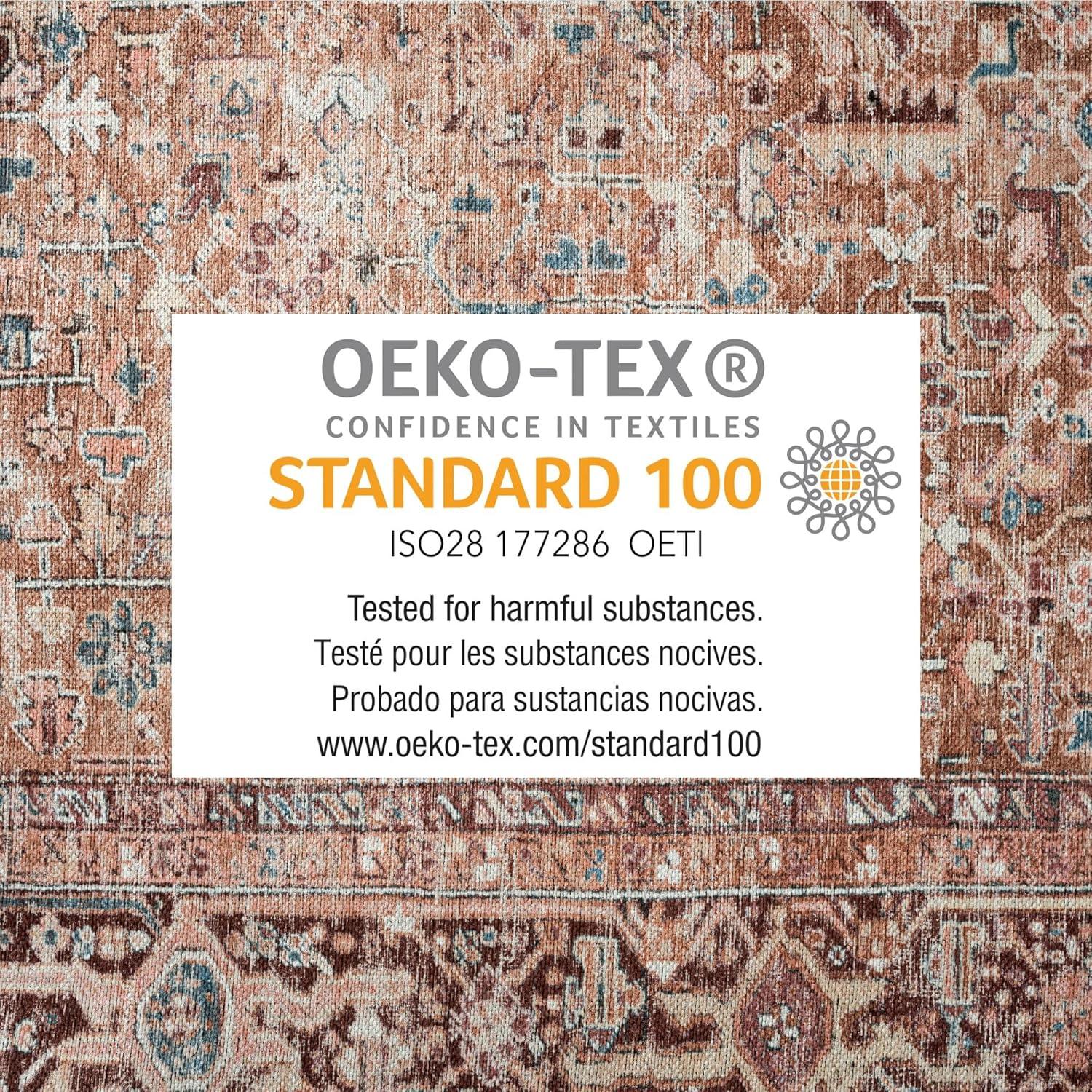 Home Dynamix Everwash Callaghan Edith Distressed Vintage Machine Washable Area Rug, Terracotta, 5'2"x7'2"