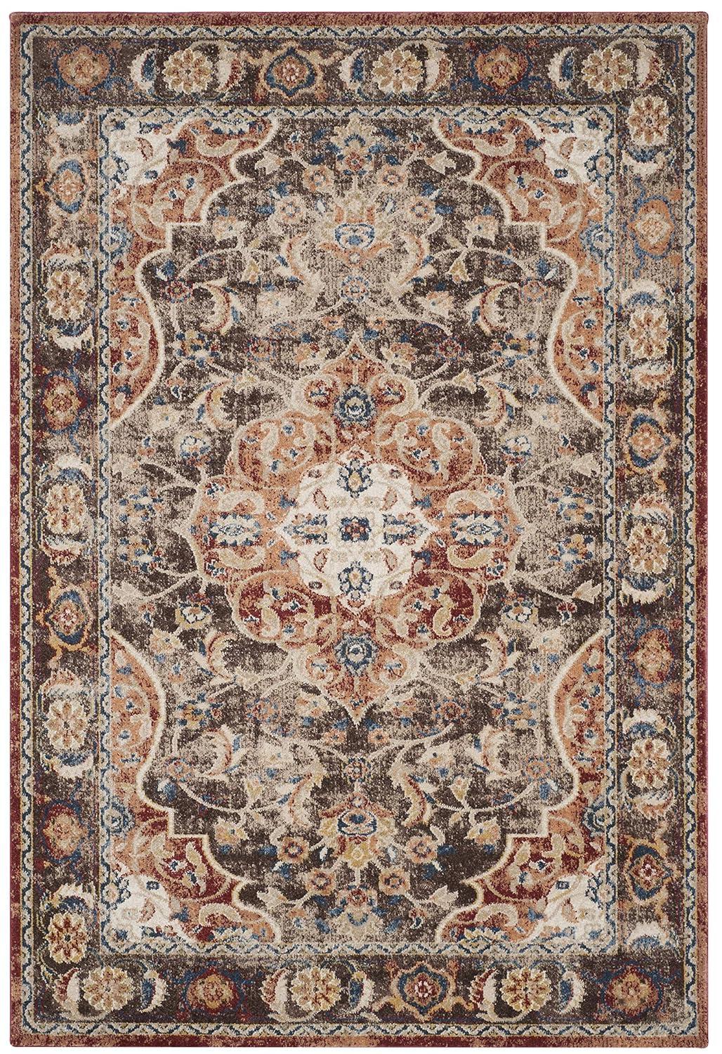 Bijar BIJ648 Power Loomed Area Rug Brown / Rust 4' X 6' - Safavieh.