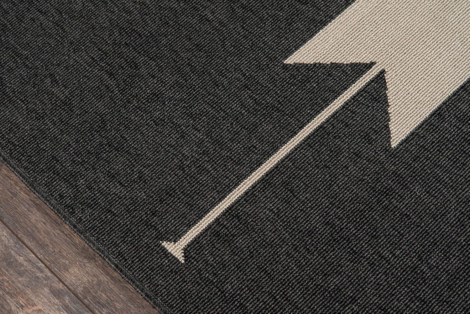 Genesis Charcoal/Cream Indoor/Outdoor Rug