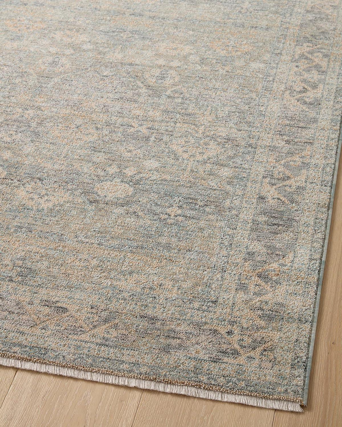 Angela Rose x Loloi Blake Sky / Beige Area Rug