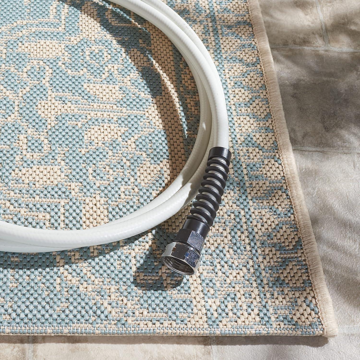 Danya Cream/Aqua Indoor/Outdoor Area Rug