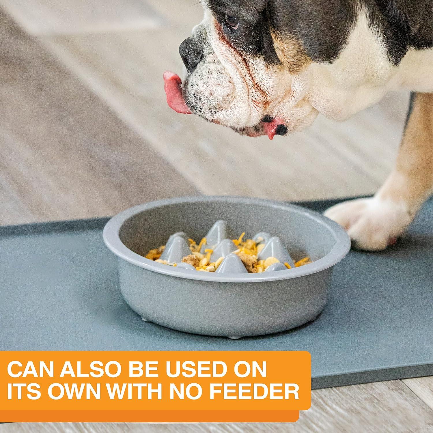 Neater Pets The Niner Slow Feed Bowl for Cats & Dogs - Slow Down Eating & Stop Bloat Vomit - 2 Cups Food Capacity