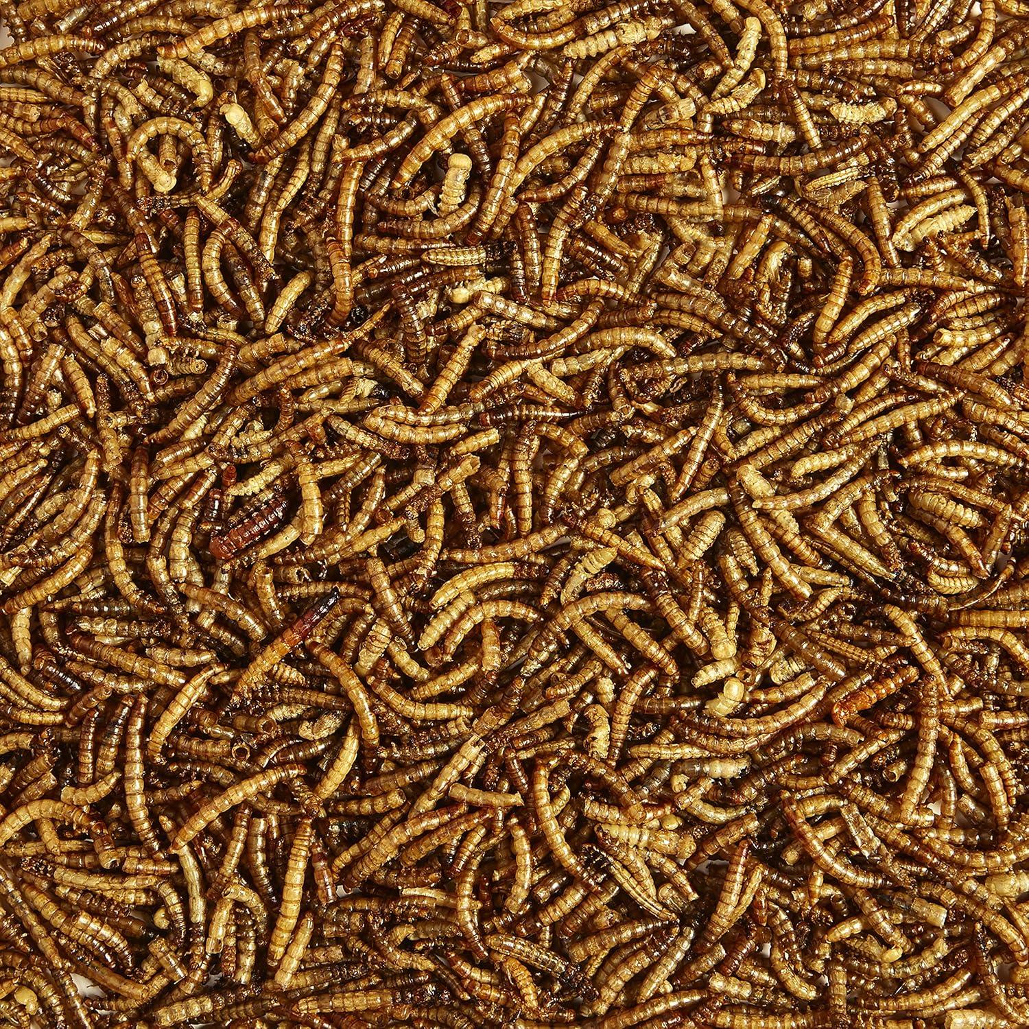 Kaytee Bluebird Dried Mealworm Mealworms 3.5 oz