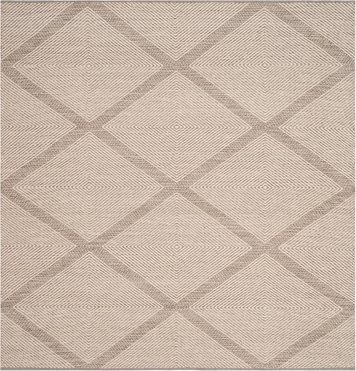 Montauk MTK821 Hand Woven Indoor Rug - Safavieh