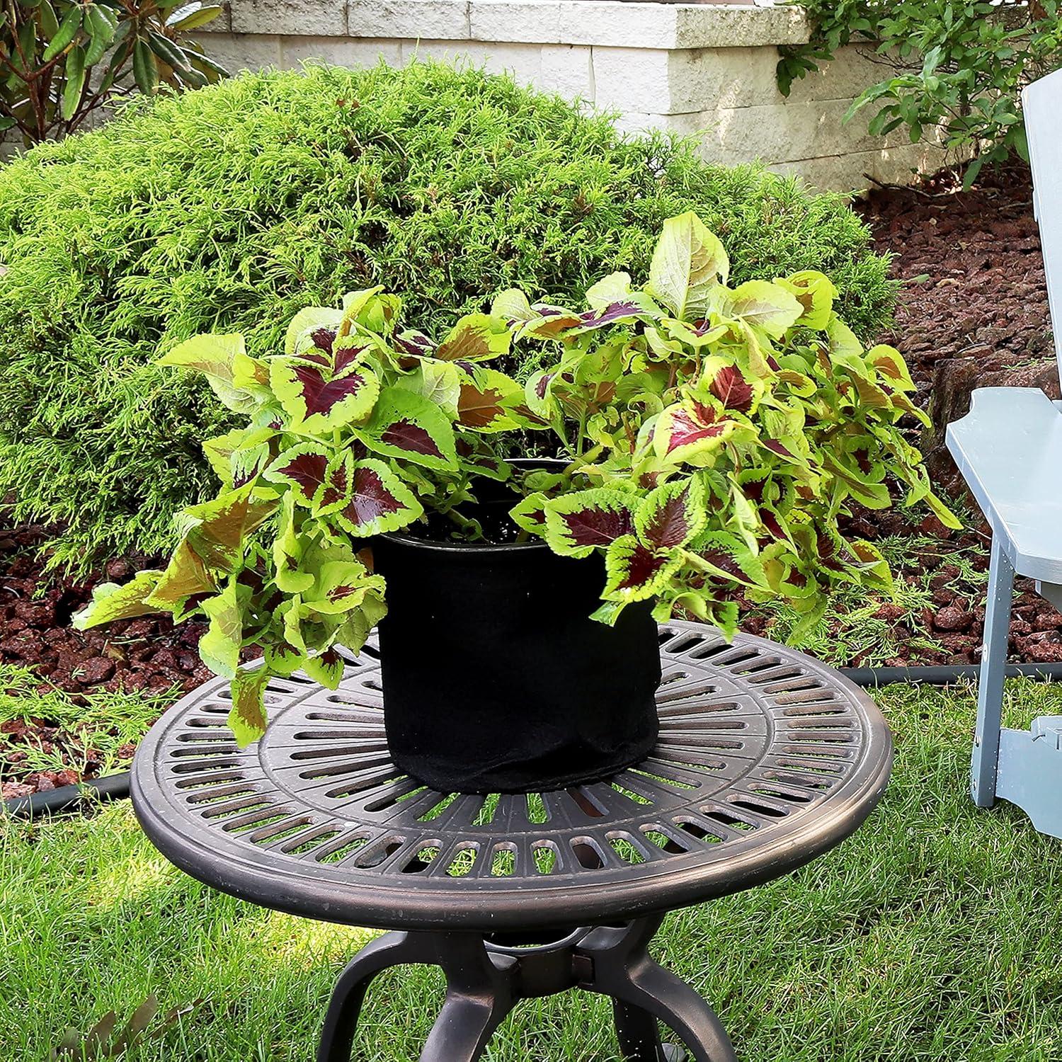 Sunnydaze 1-Pack of 7-Gallon Garden Grow Bags for Vegetables - 300 GSM Non-Woven Polypropylene Felt Fabric Flower Pots and Planters with Handles - Single Gardening Container