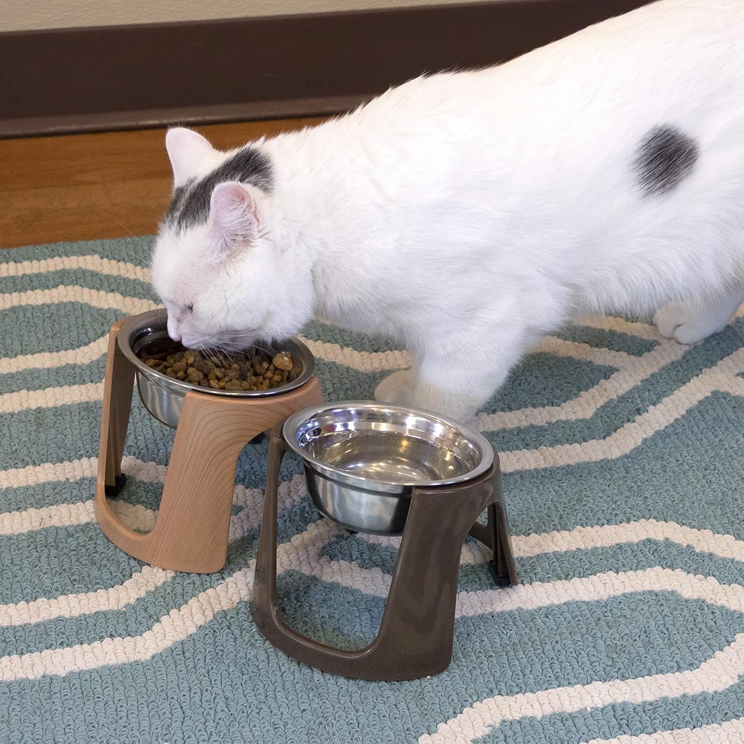 1.79 Cups Elevated Feeder (Set of 2)