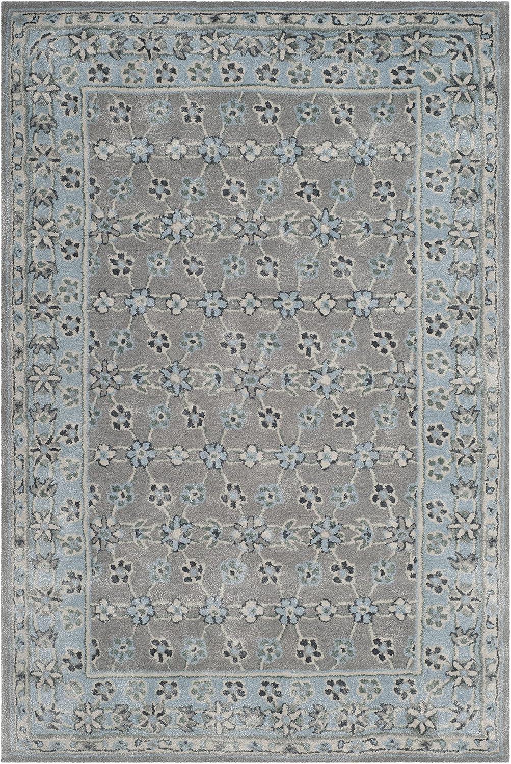 SAFAVIEH Bella Ridley Oriental Area Rug, Silver/Light Blue, 4' x 6'