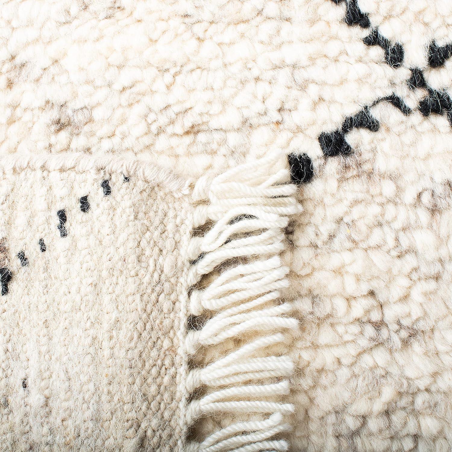 Casablanca CSB543 Hand Knotted Indoor Area Rug - Ivory/Black - 8'x10' - Safavieh