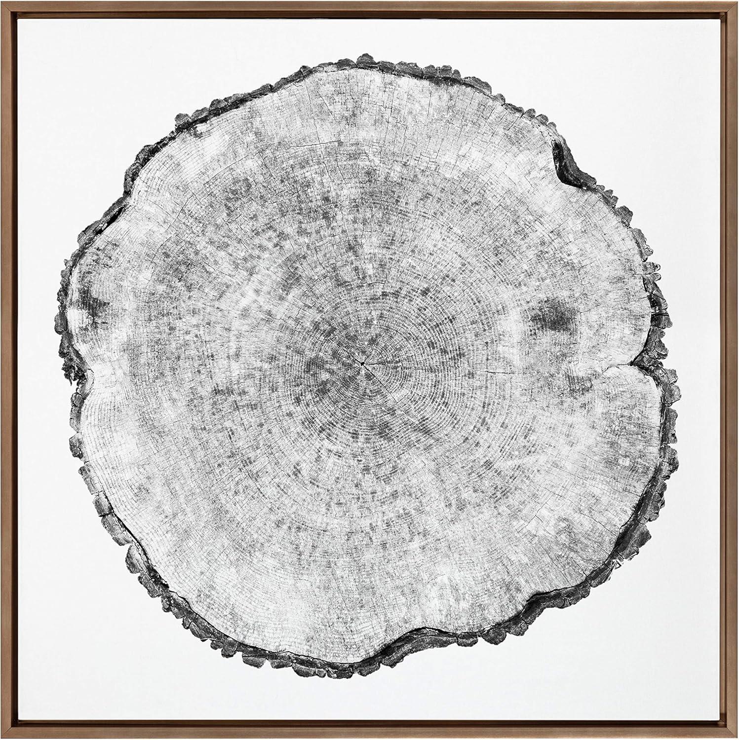 30" x 30" Sylvie Tree Rings Framed Wall Canvas by Emiko and Mark Franzen: Modern Botanical Art - Kate & Laurel All Things Decor
