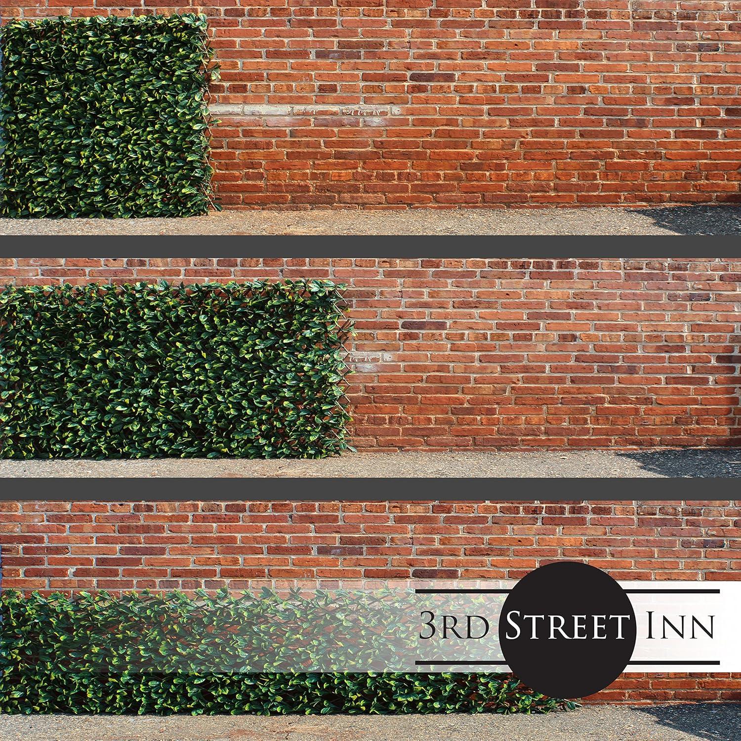 3rd Street Inn 1.6 ft. H x 9 ft. W Bamboo Privacy Screen (Set of 4)