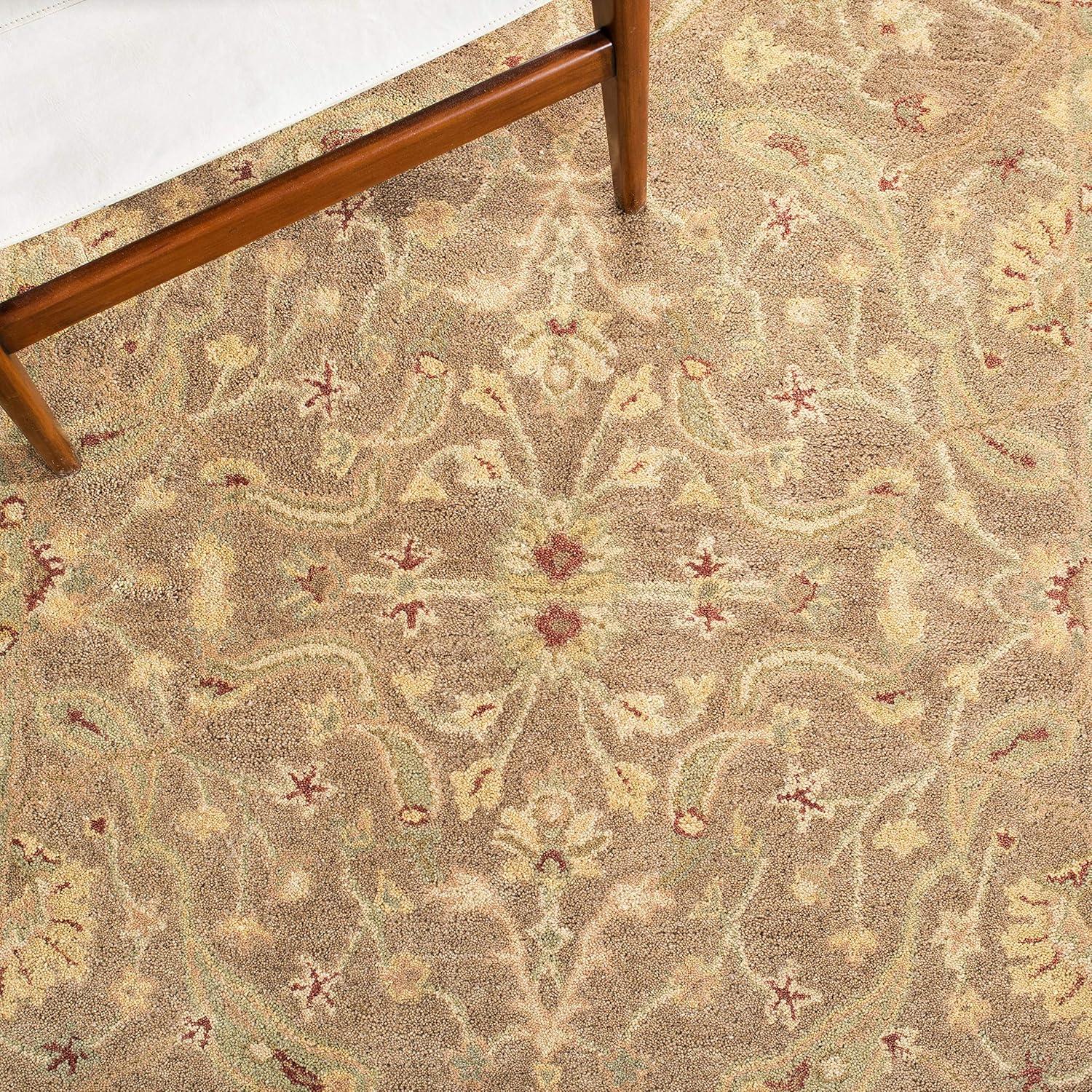 Antiquity AT311 Hand Tufted Area Rug - Ivory/Brown - 3'x5' - Safavieh.