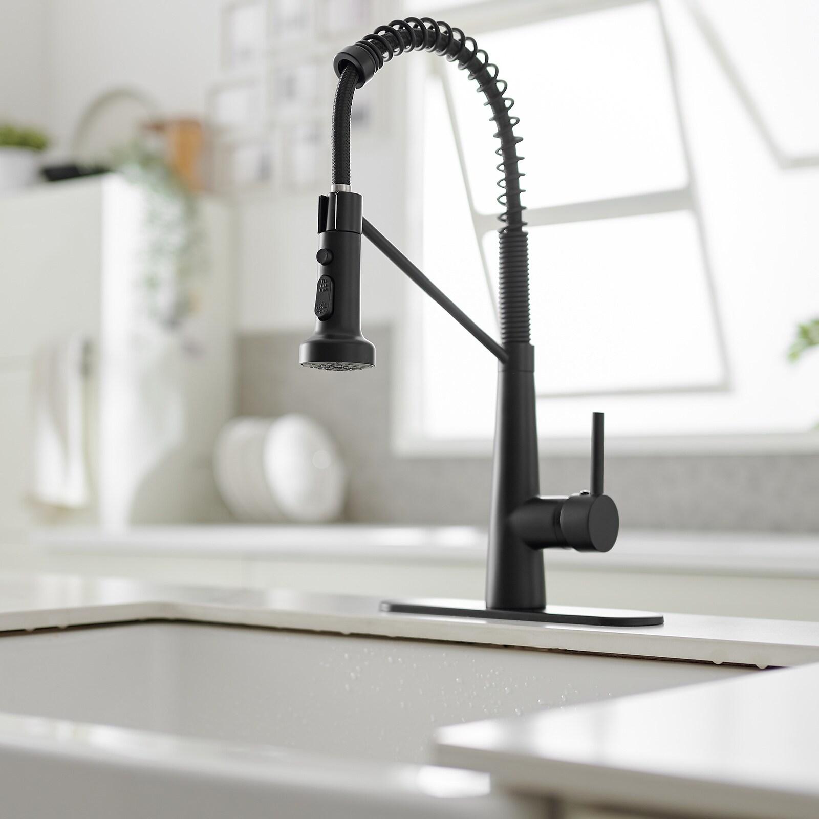 Single-Handle Pull-Down Sprayer 2 Spray High Arc Kitchen Faucet With Deck Plate