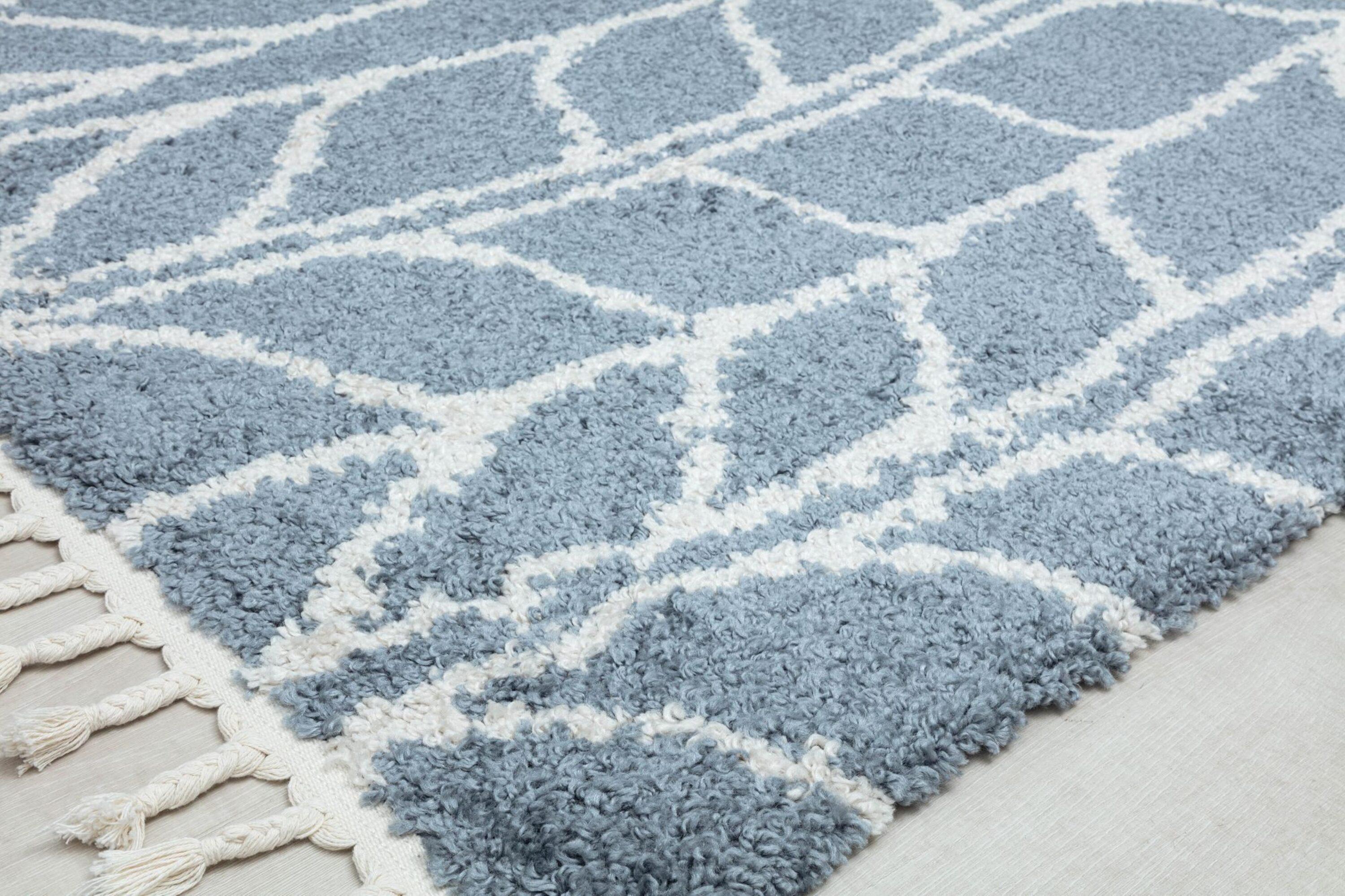 Bennett Geometric Sky Vine Area Rug