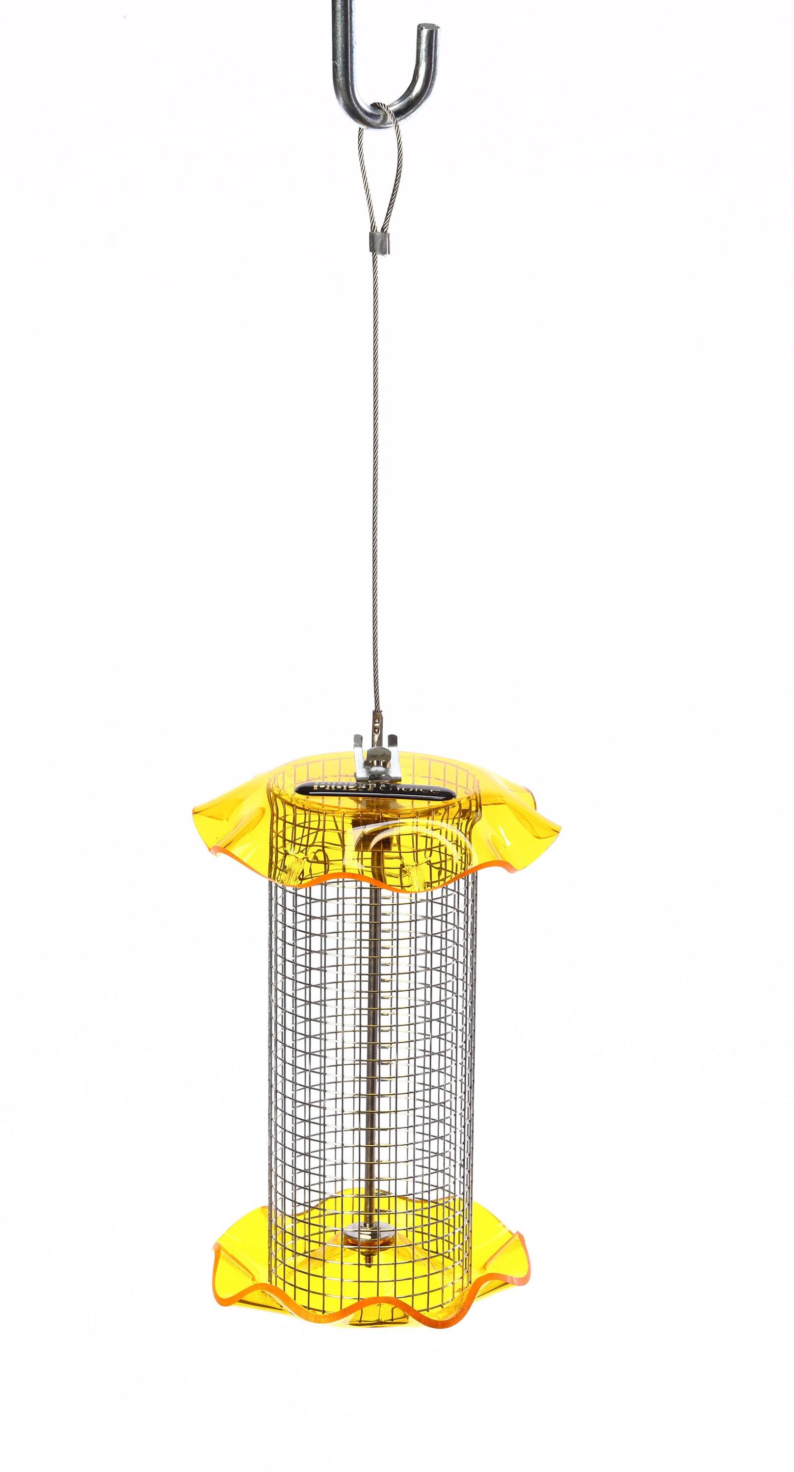 Birds Choice Small Sunflower Seed Forever Feeder with Stainless Steel Screen