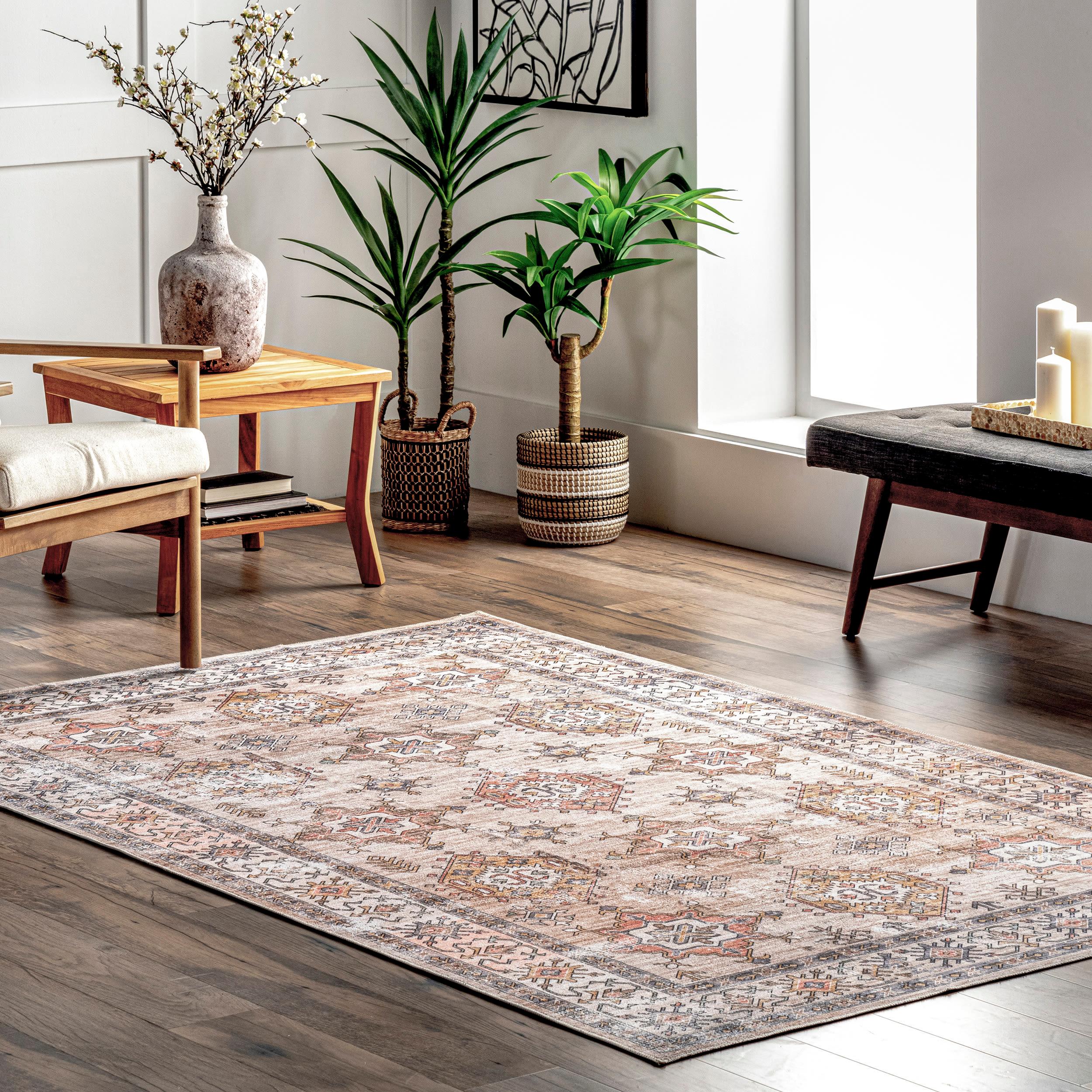 Nuloom Finley Pet Friendly Machine Washable Vintage Distressed Area Rug, 4' x 6', Beige