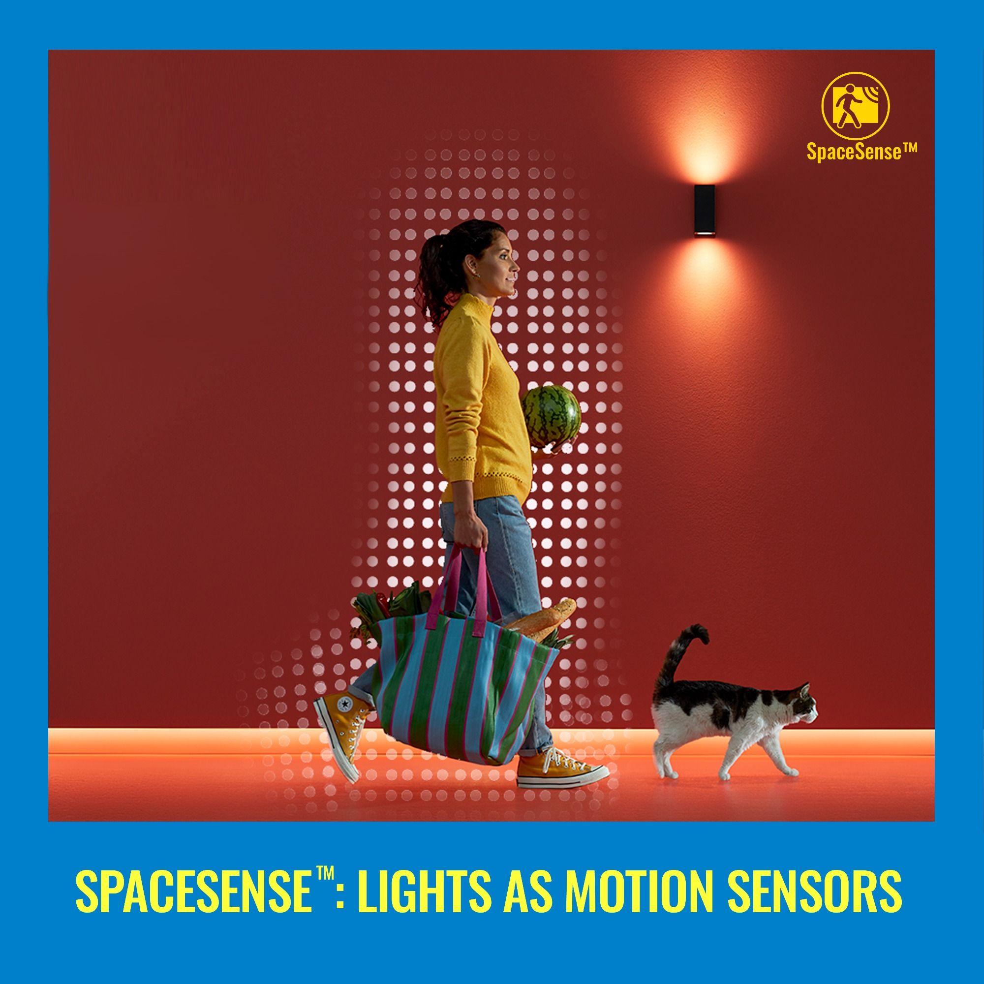 WiZ Connected LED Color Changing Outdoor Spotlight Extension - Starter Kit Required - Weatherproof - Control with WiZ App - Works with Google Home, Alexa, and Siri Shortcuts - 2 Pack