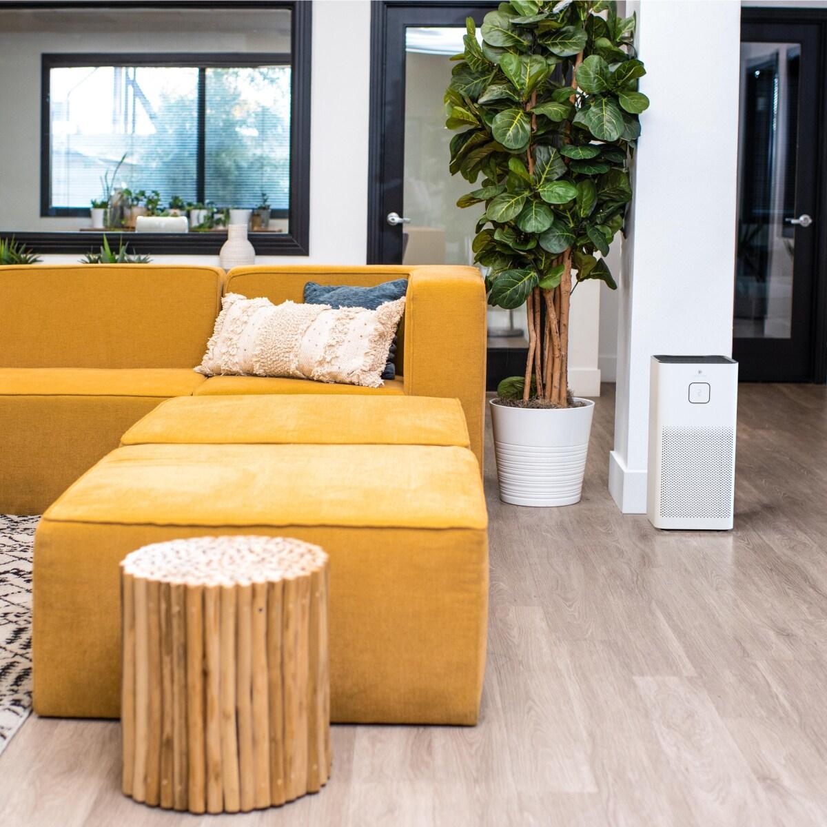 Medify Air MA-50 Air Purifier with HEPA H13 Filters - 1100 Sq ft Coverage for Pollen - White, 1-Pack