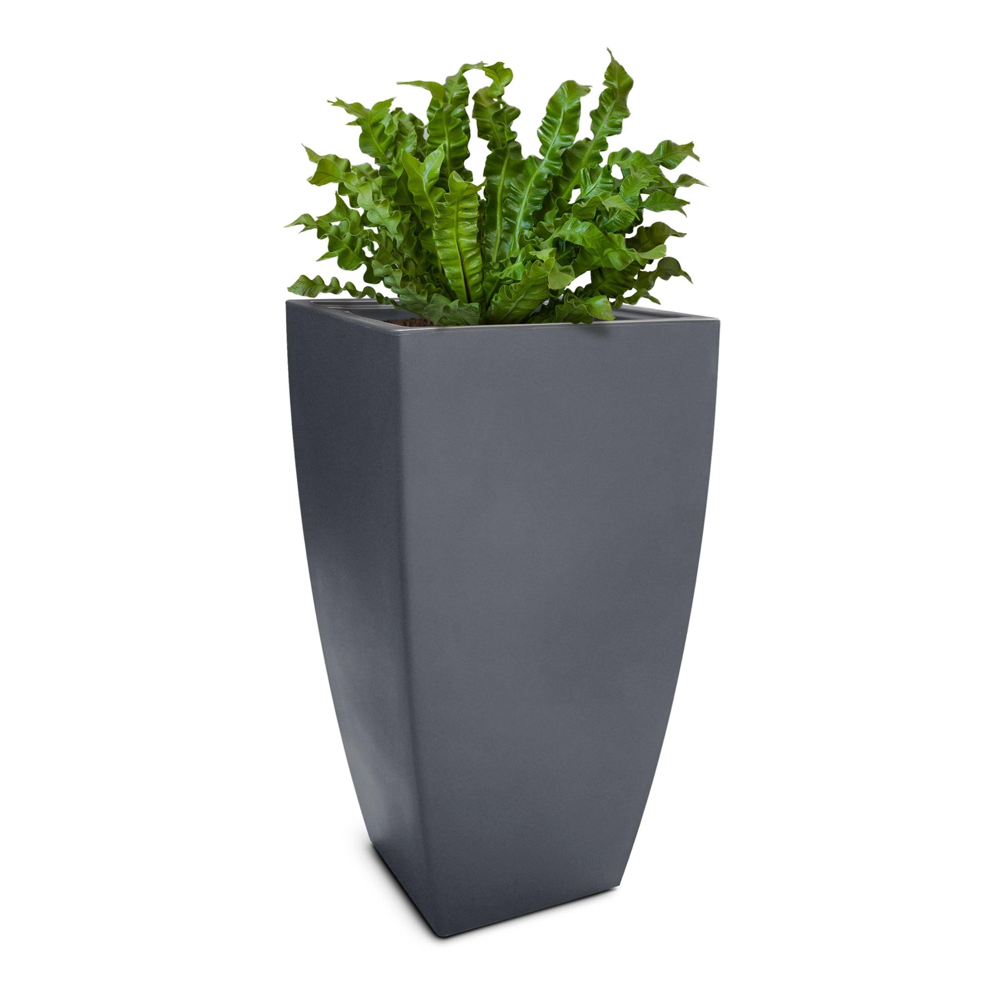 Mayne Inc. Vernamae  Resin Pot Planter With Water Reservoir