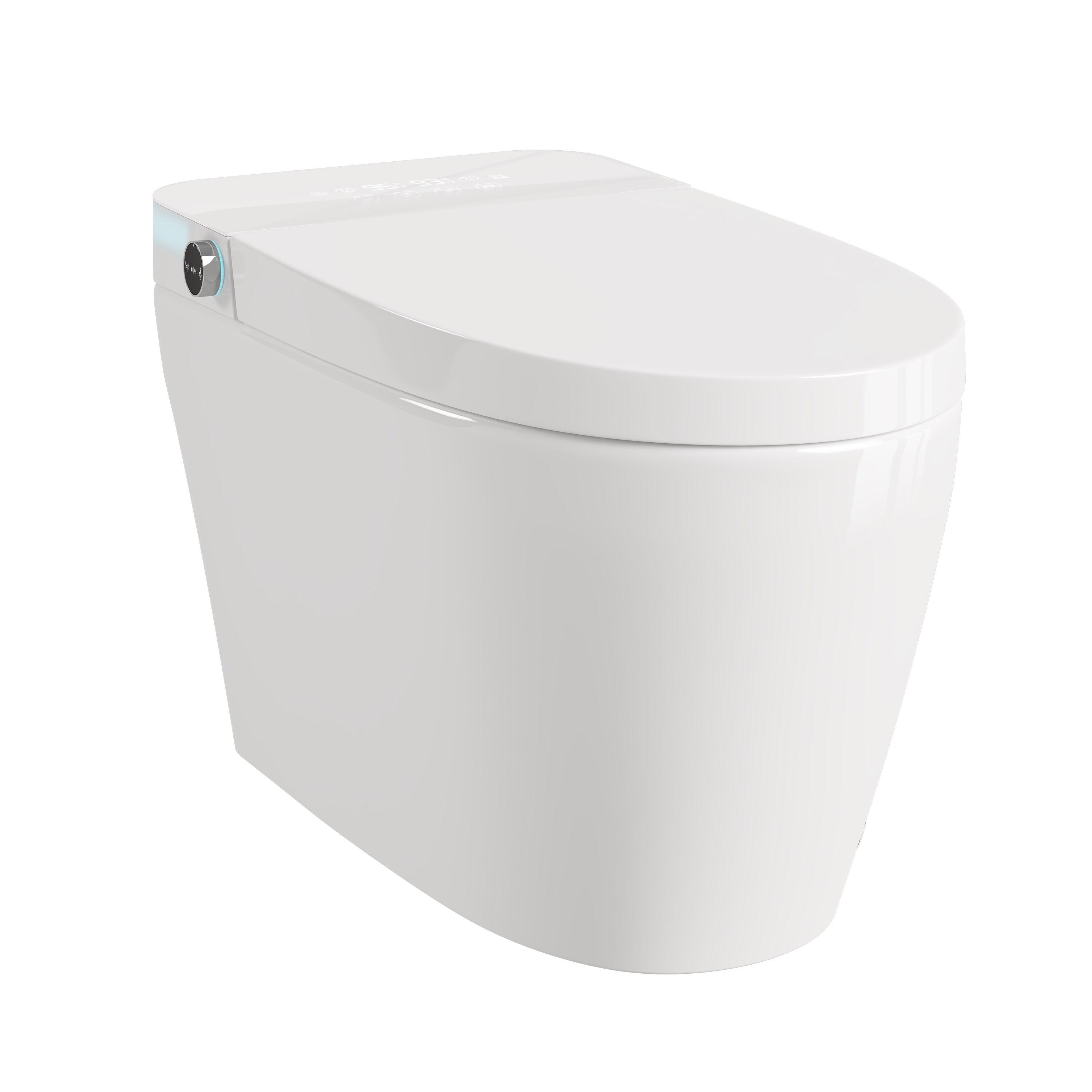 Eridanus White Vitreous China Smart Bidet Toilet with Heated Seat and Remote Control