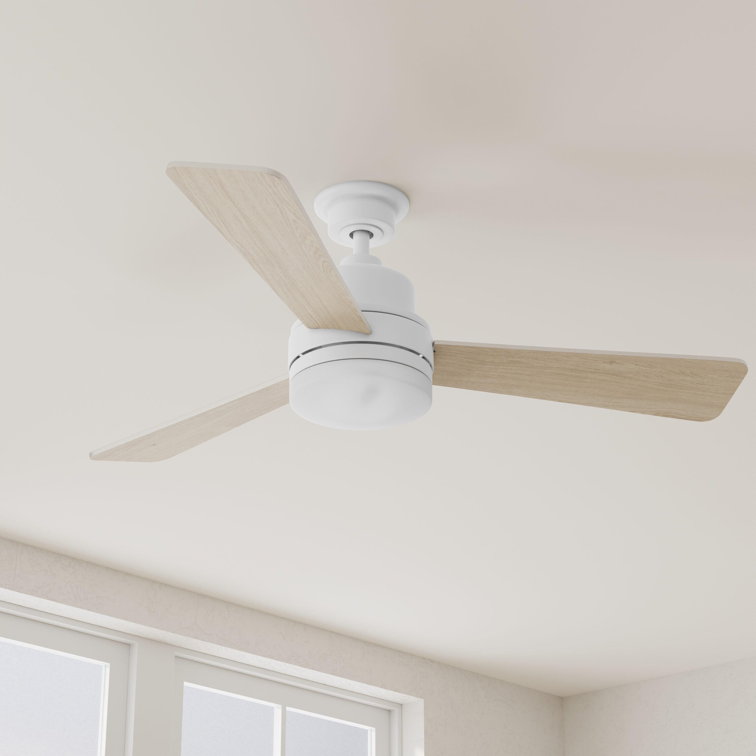 Hokku Designs Bailey-Rae 52'' Ceiling Fan with LED Lights