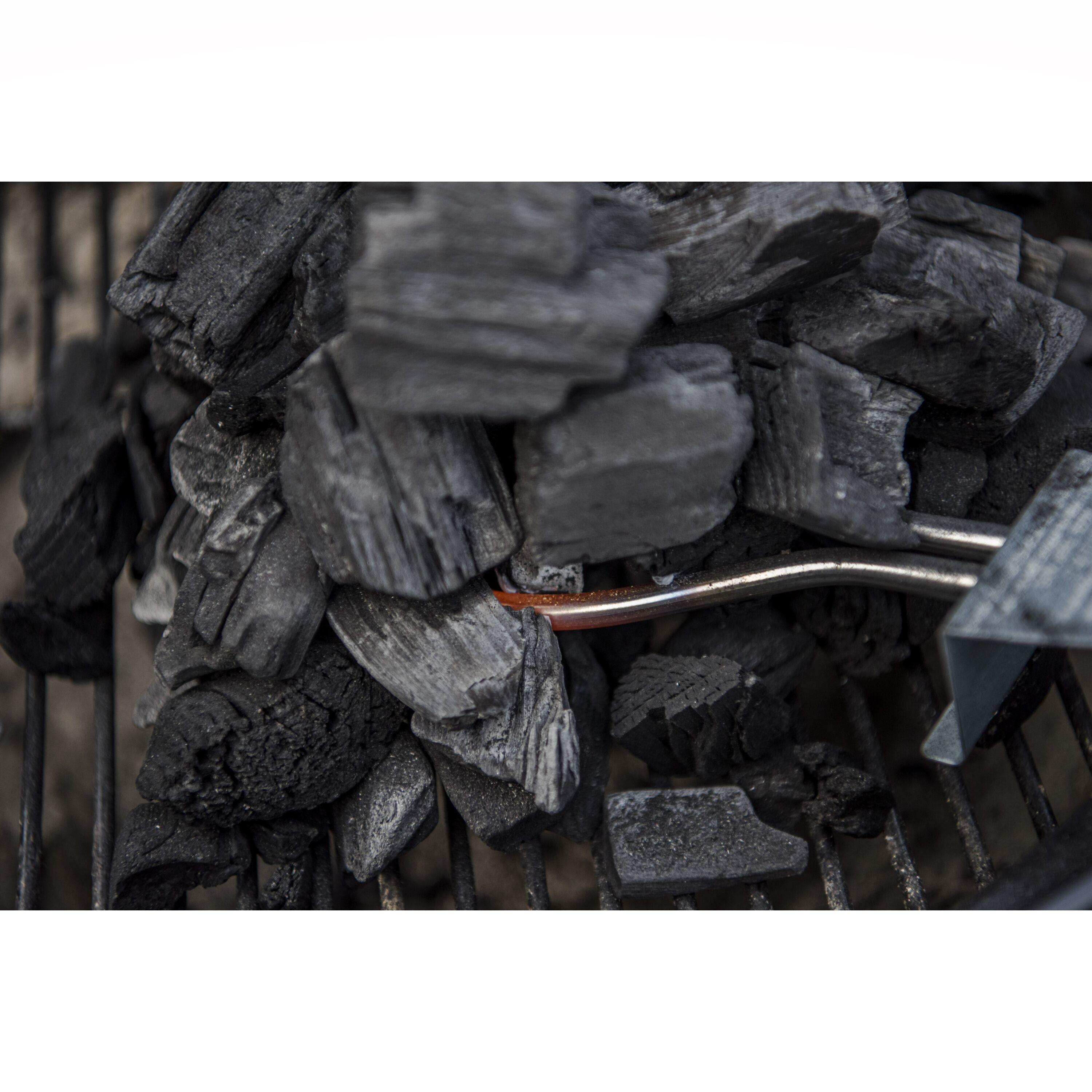 Char-Broil Electric Charcoal Starter,Black