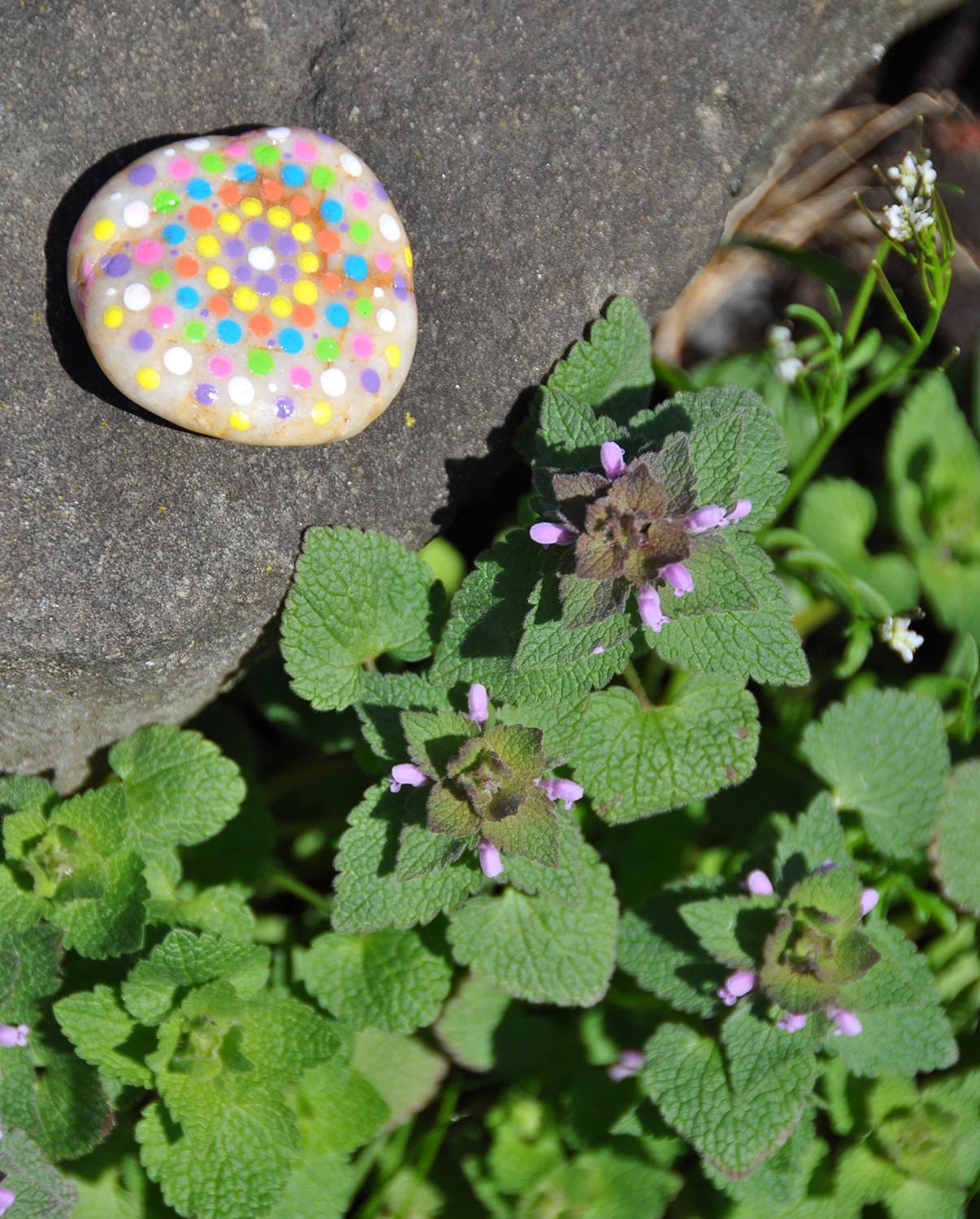 Hide & Seek Rock Painting Kit - Creativity for Kids: Paints, Stickers, Rocks, Brush, Craft Activity for Ages 6+