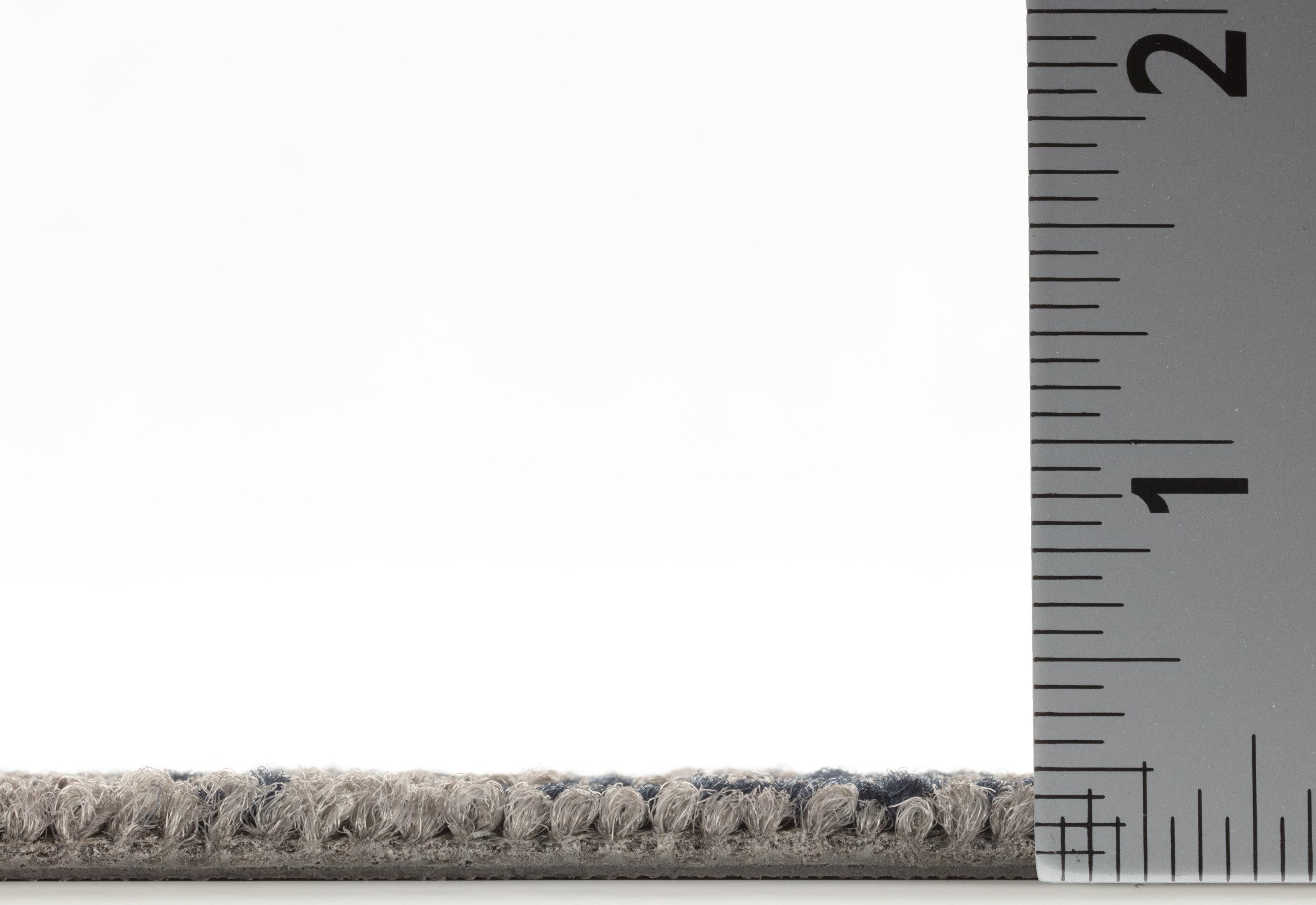 Shaw Apollo 24-in x 24-in Multi-Level Loop Adhesive Carpet Tile (48-sq ft)