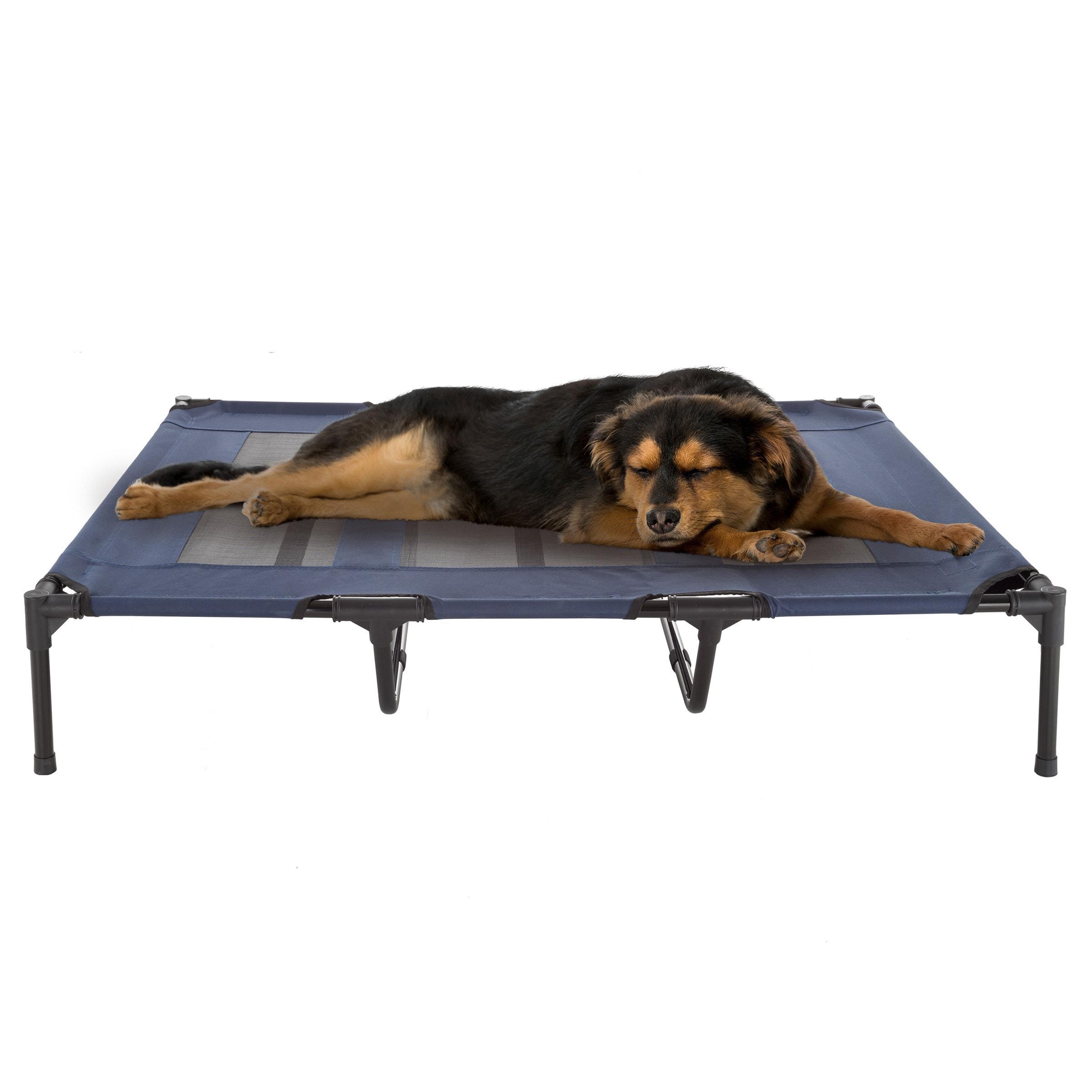 Pet Adobe Portable Raised Pet Bed with Nonslip Feet - Gray