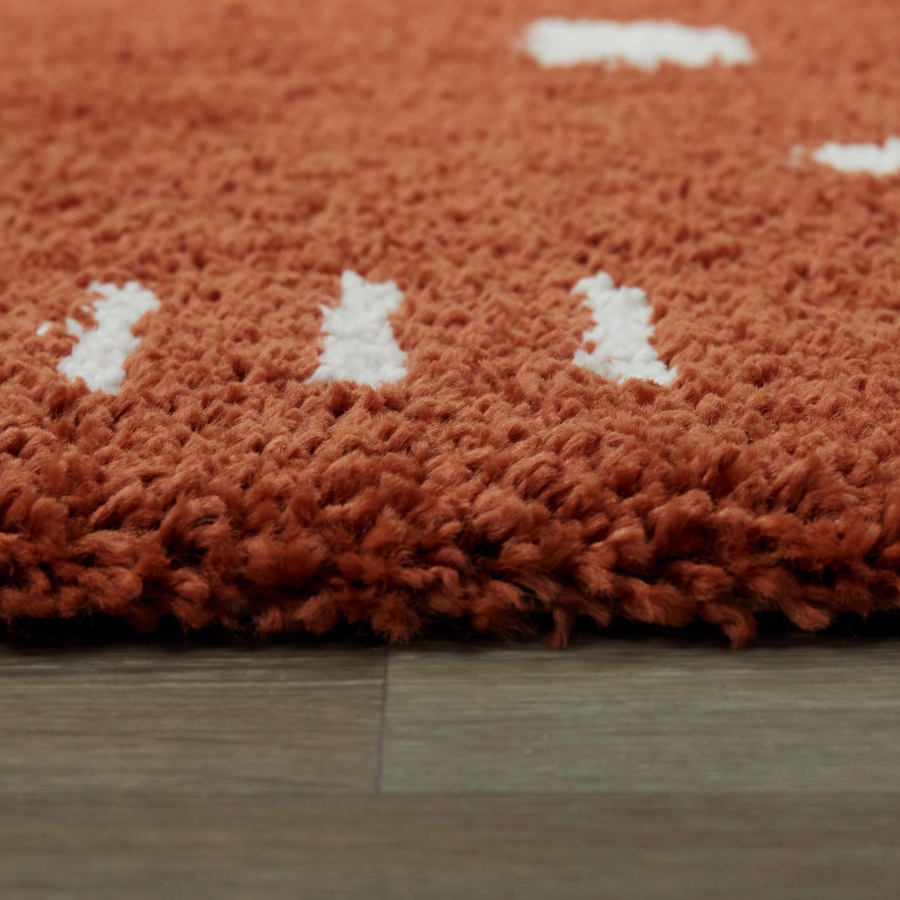 Morin Geometric Shag Area Rug