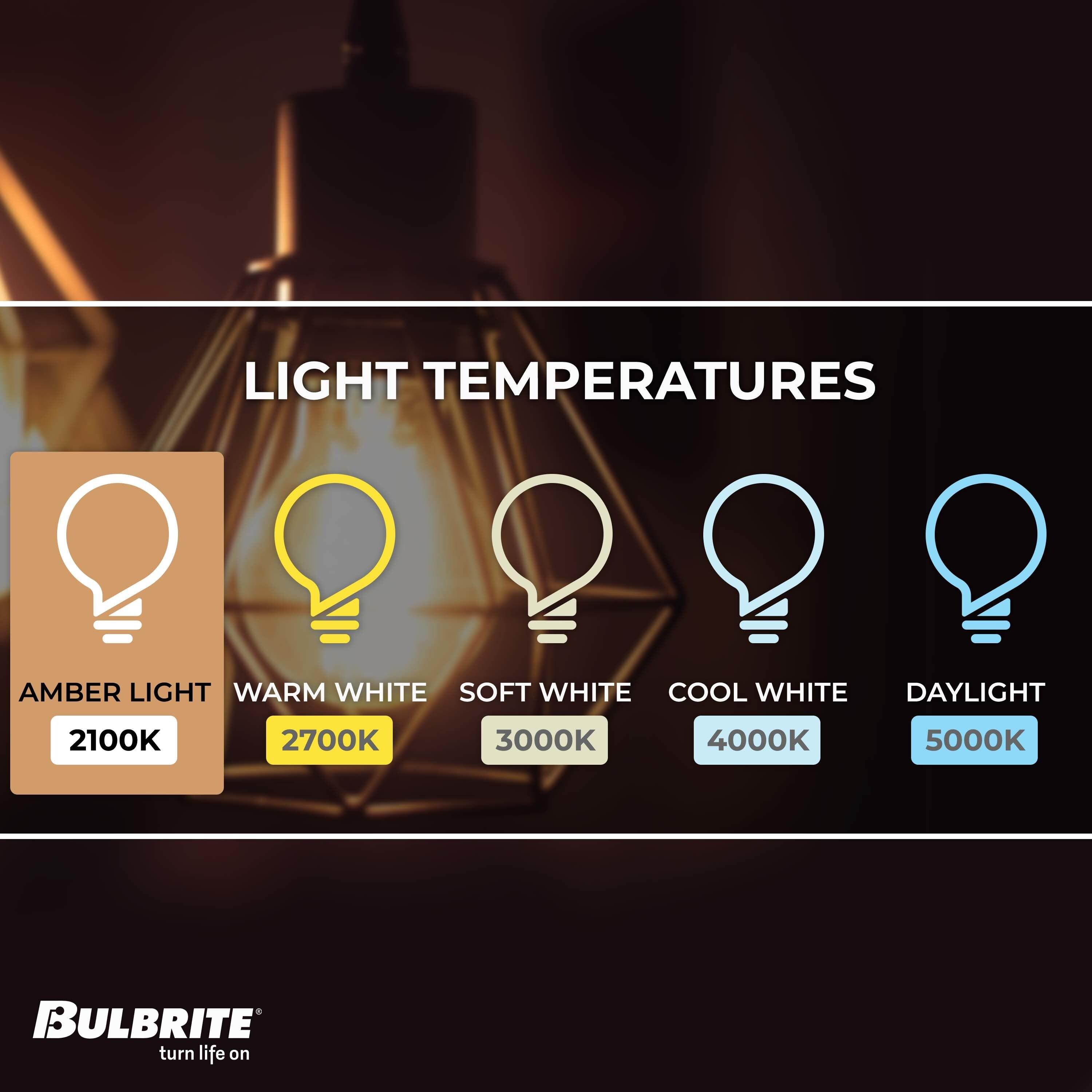 40 Watt Dimmable Nostalgic Edison Squirrel Cage-Style ST18 Light Bulb