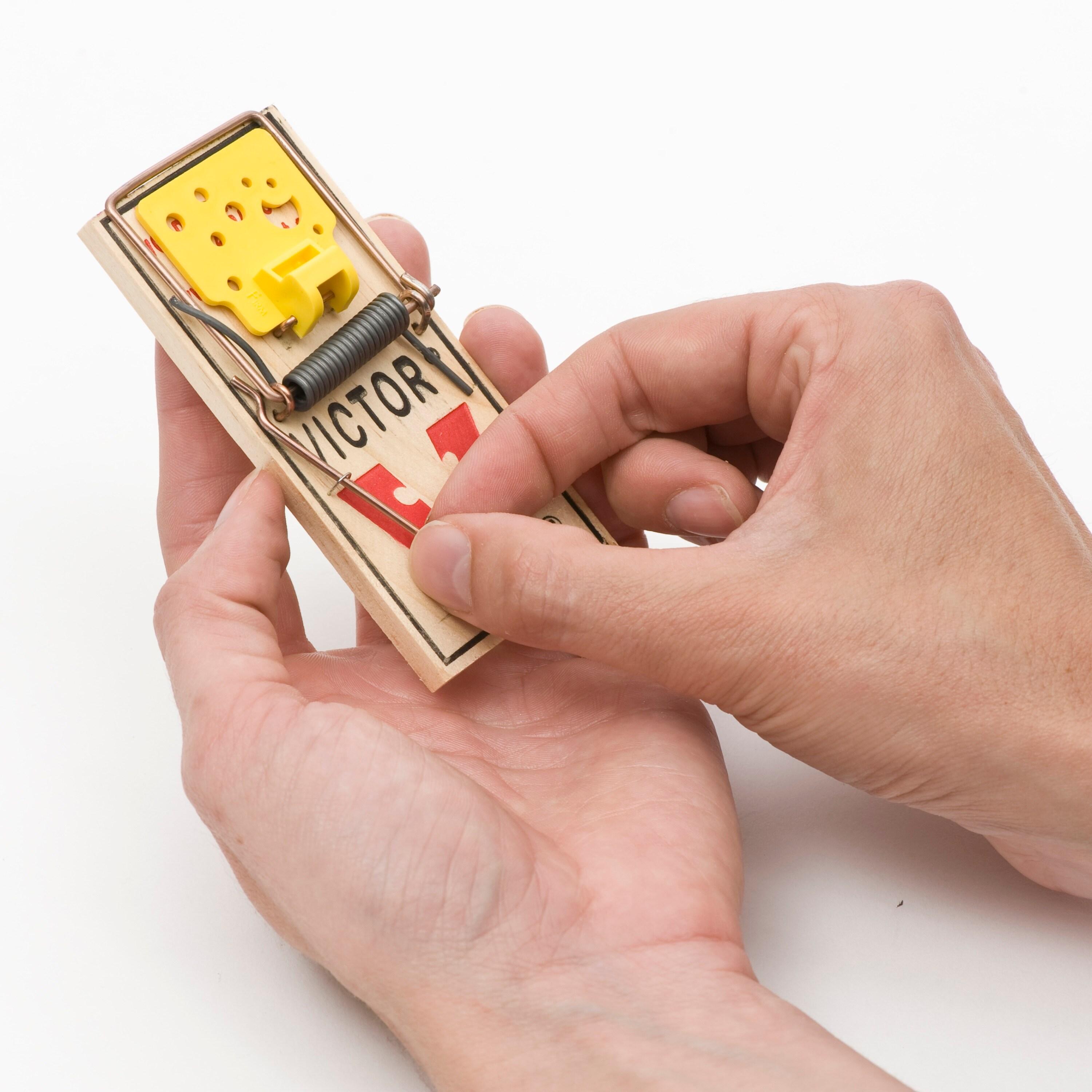 Victor Easy Set Mouse Traps - 2pk