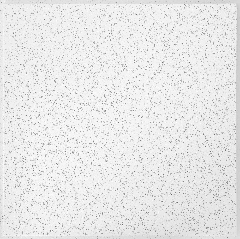 Cortega 2x2 White Acoustic Ceiling Tiles