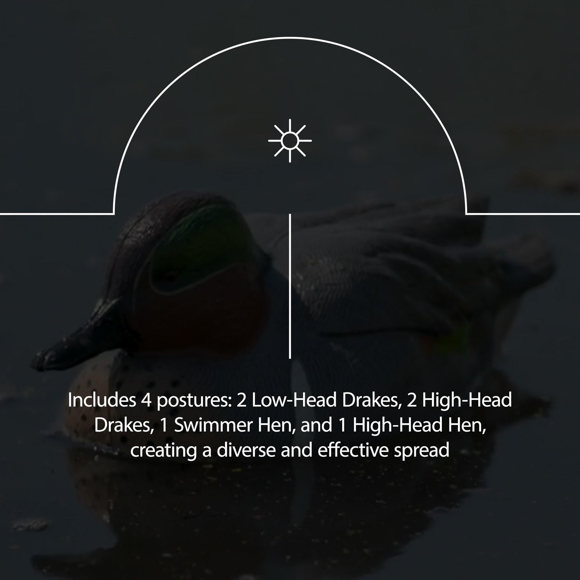 Open Box Avian X Early Season Mallard Duck Realistic Decoys, Multicolor, 6pk