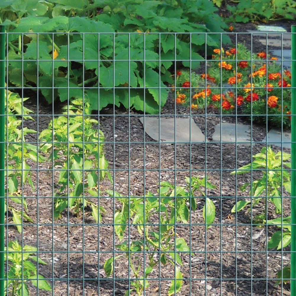 Garden Zone Green Vinyl Coated 48 in. H x 50 ft. L Steel Fence