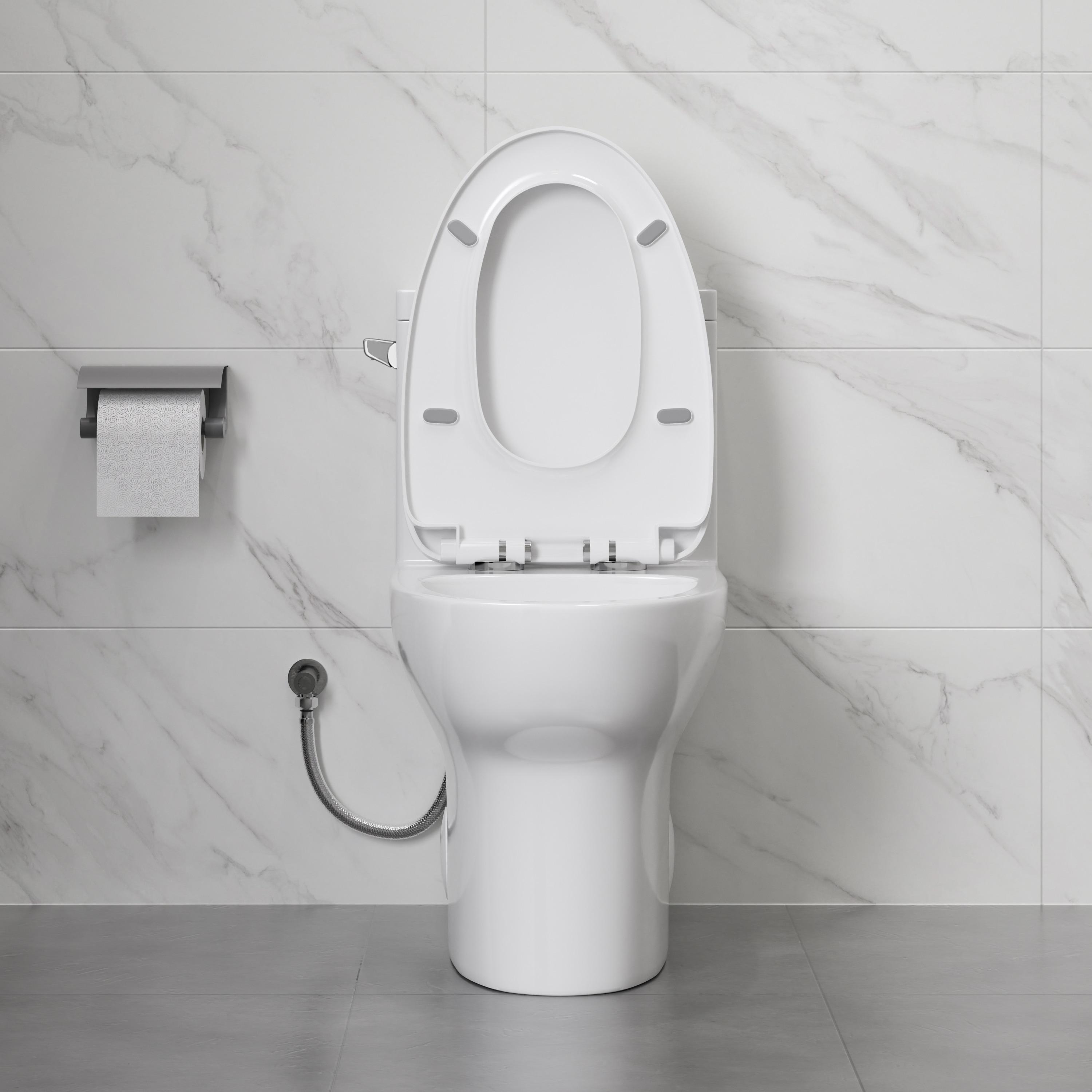 Eridanus One Piece Toilet Elongated With Soft Closing Seat, Comfortable ADA Compliant 17" Chair Height Seat, Powerful & Quiet Left Side Trip Lever Flush (1.28 GPF), 12" Rough-In