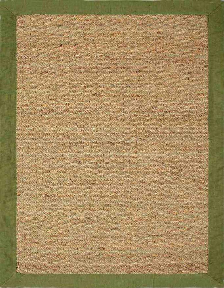 Chesapeake Seagrass Area Rug with Sage border (5'x7')